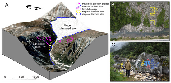Distribution and Stabilization Mechanisms of Stable