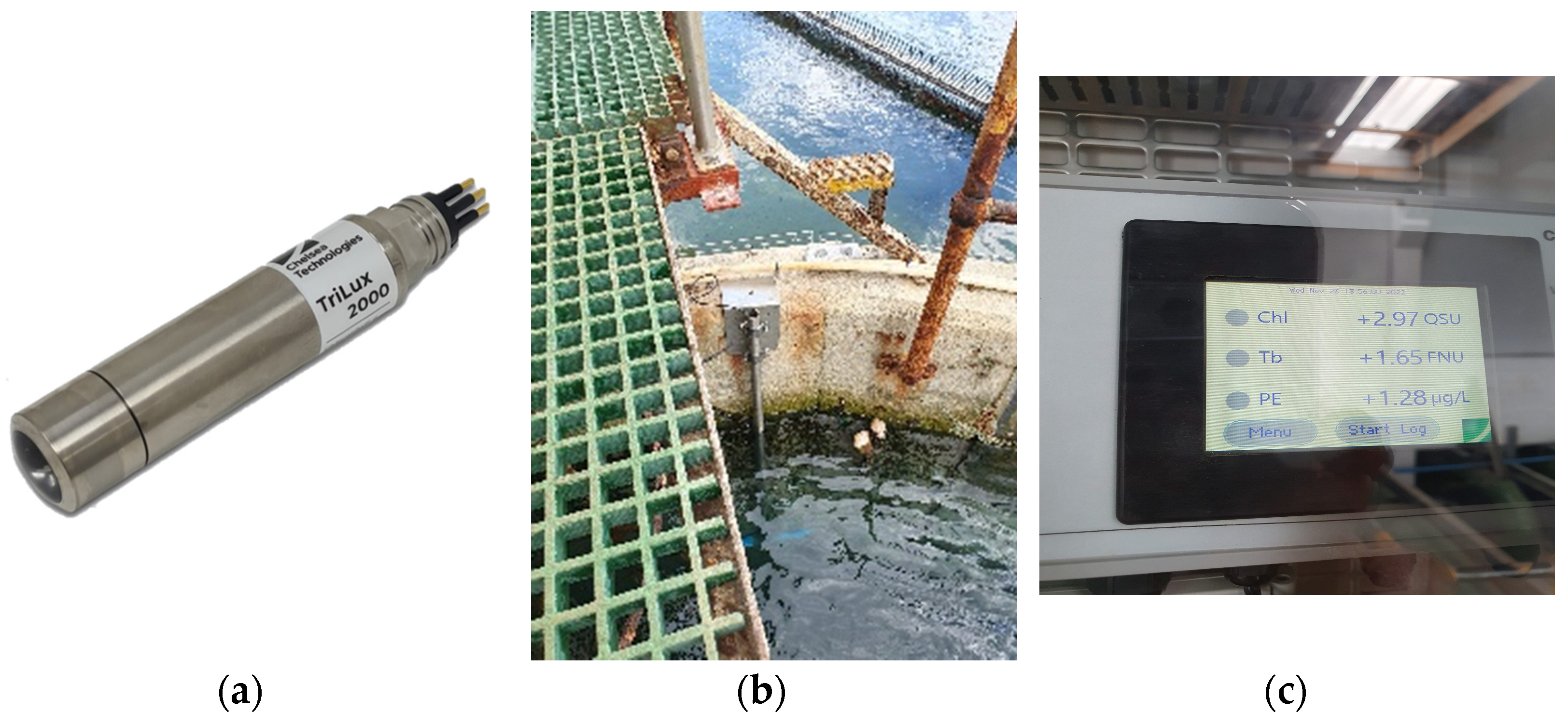 Sustainability 16 03650 g002