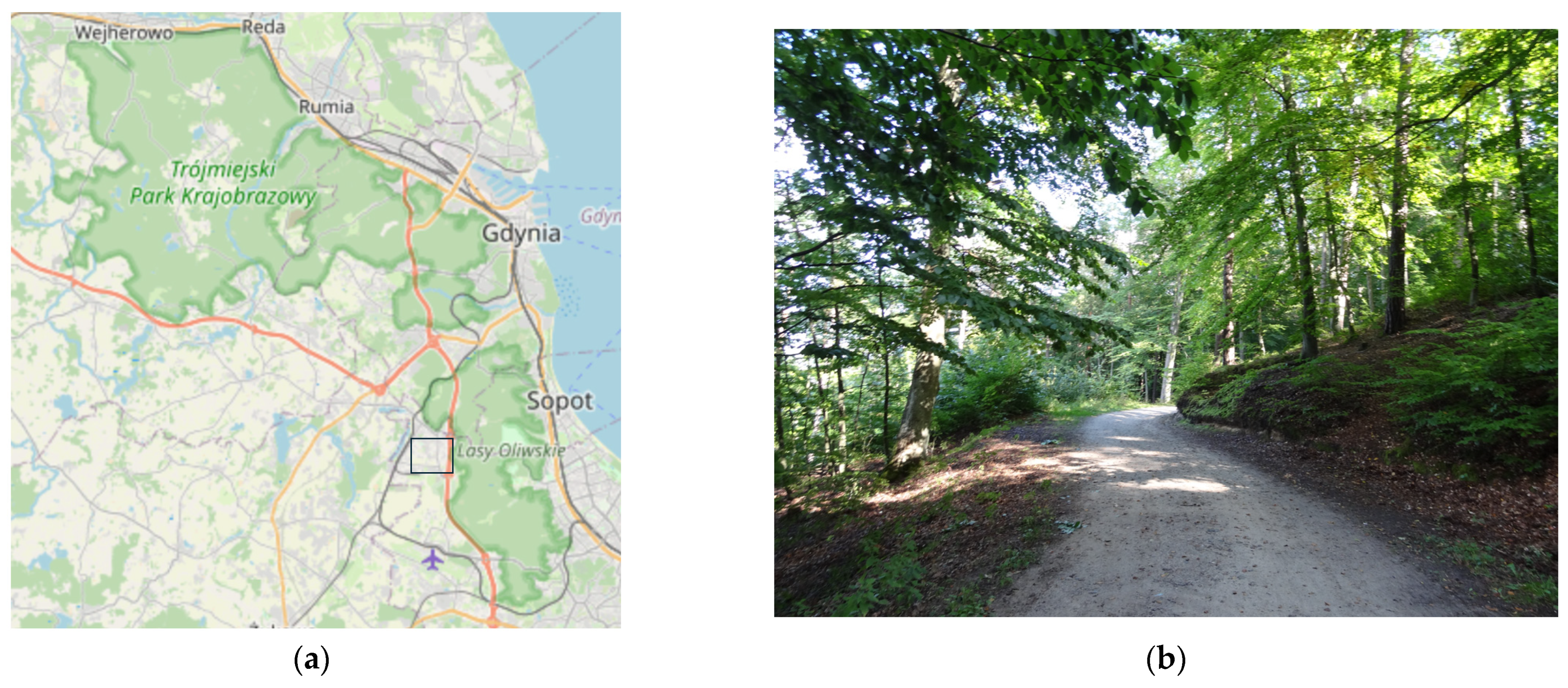 Sustainability 16 03652 g016