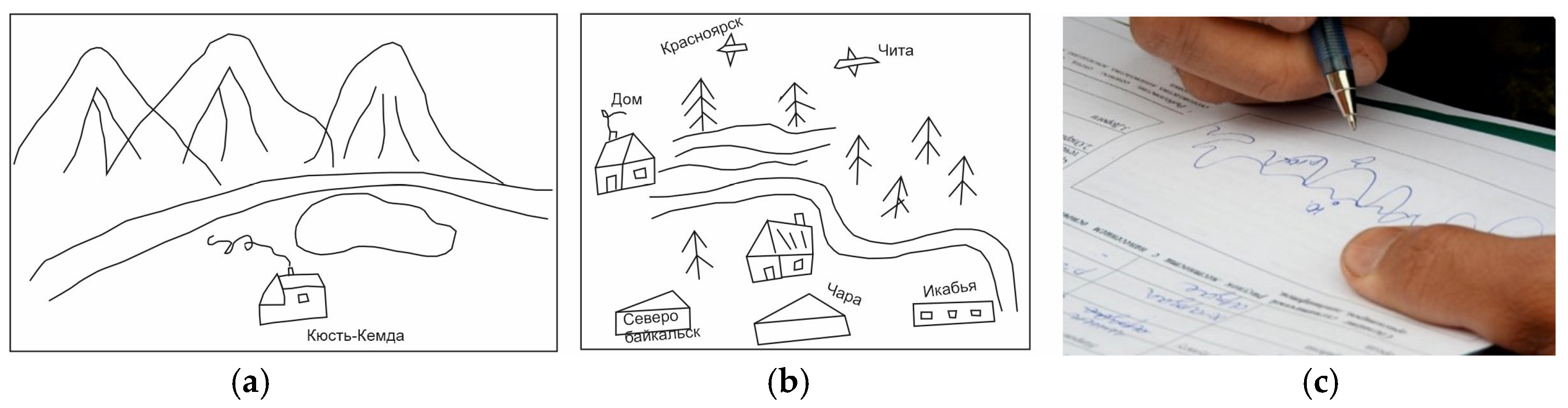 Sustainability 16 03658 g002