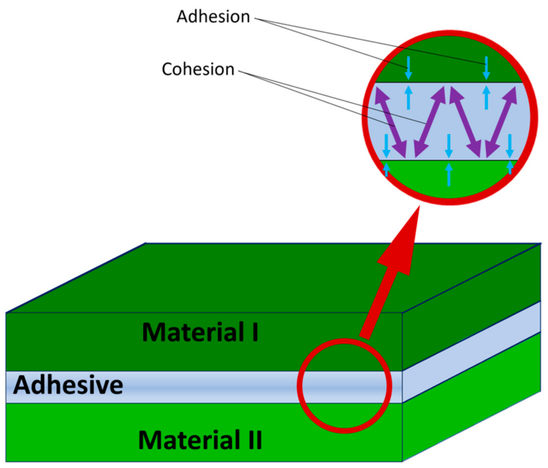 Sustainability 16 03664 g003