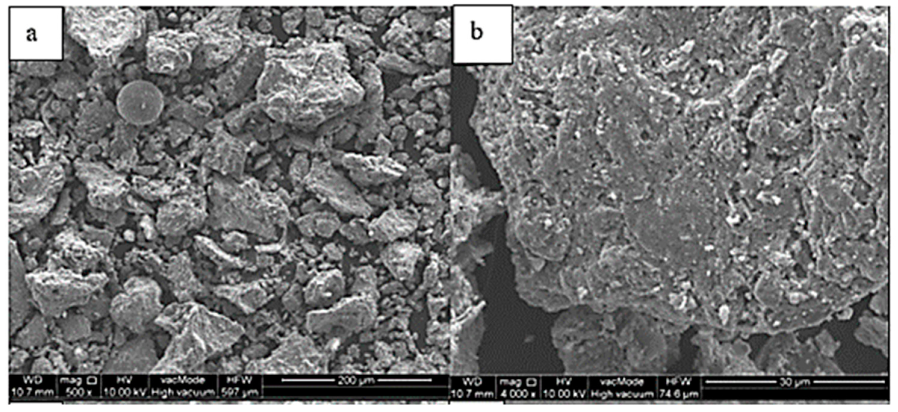 Sustainability 16 03735 g007