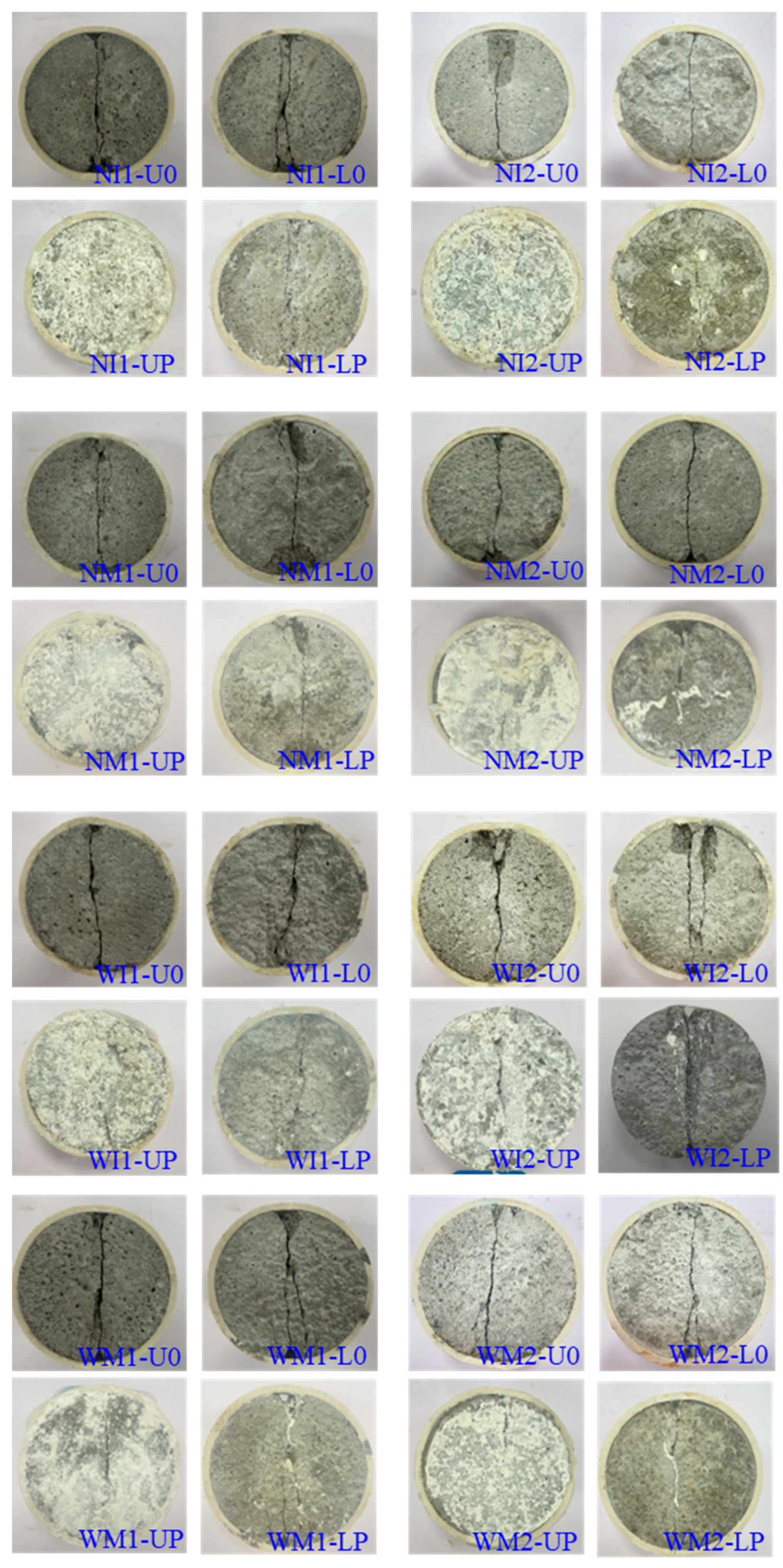 Sustainability 16 03751 g010