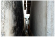 Sustainability 16 03756 i013