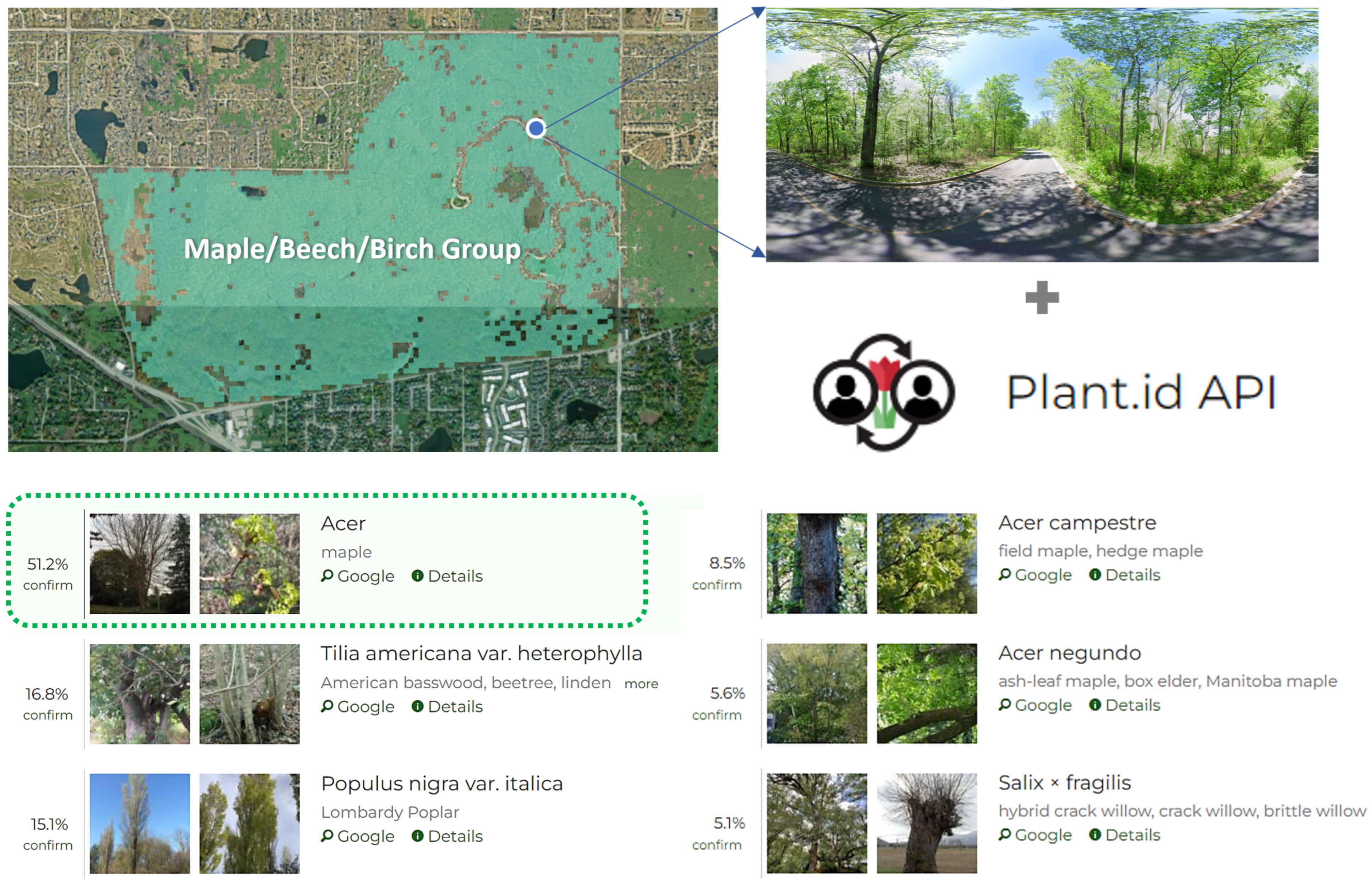 Sustainability 16 03779 g004