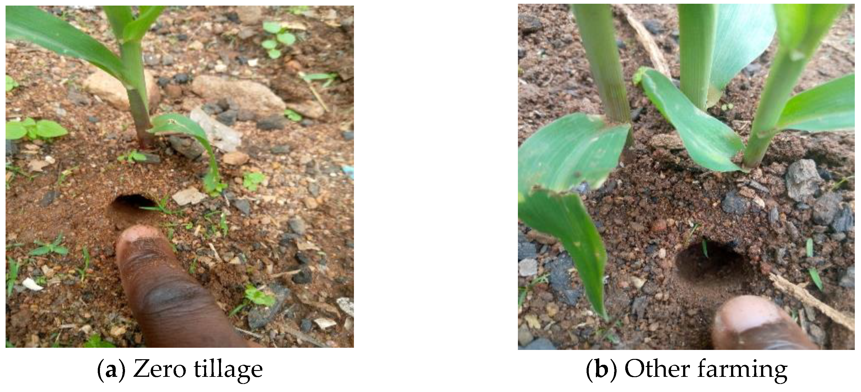 Sustainability 16 03782 g007