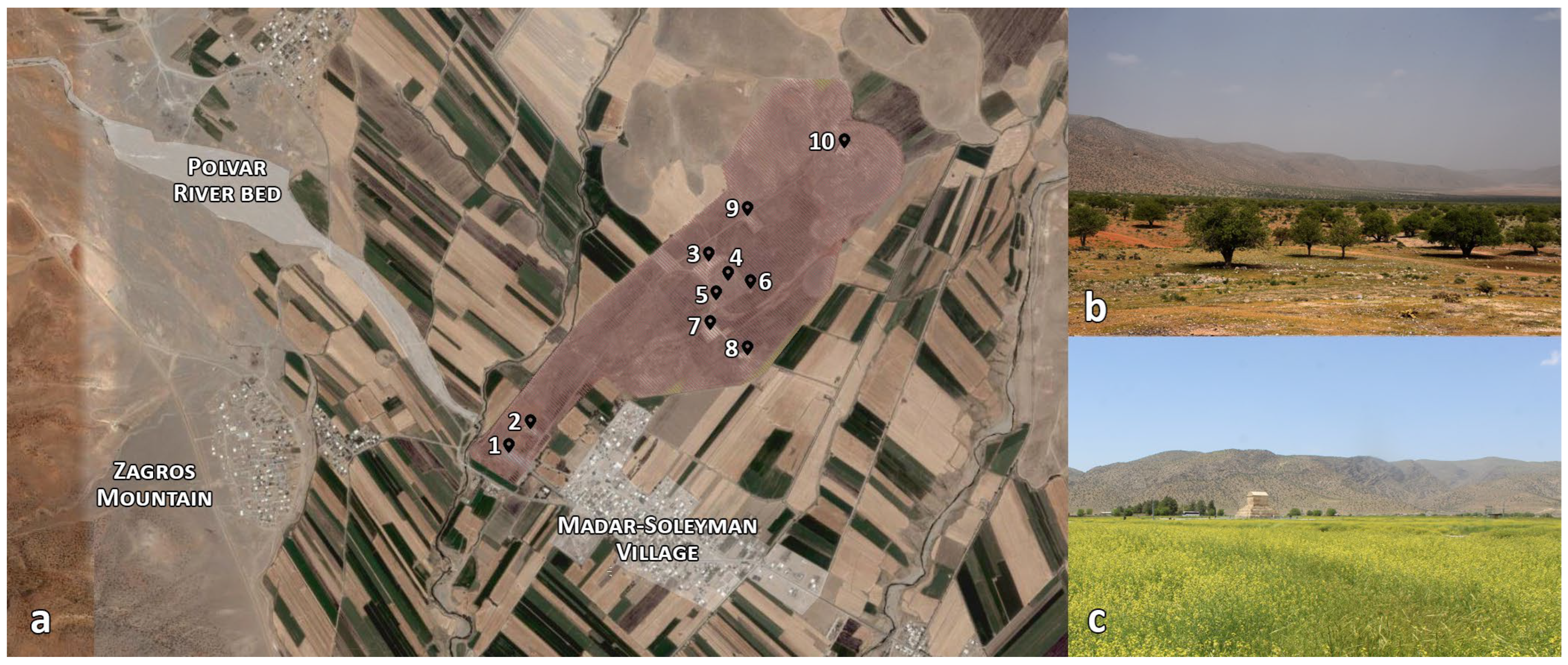 Sustainability 16 03784 g001