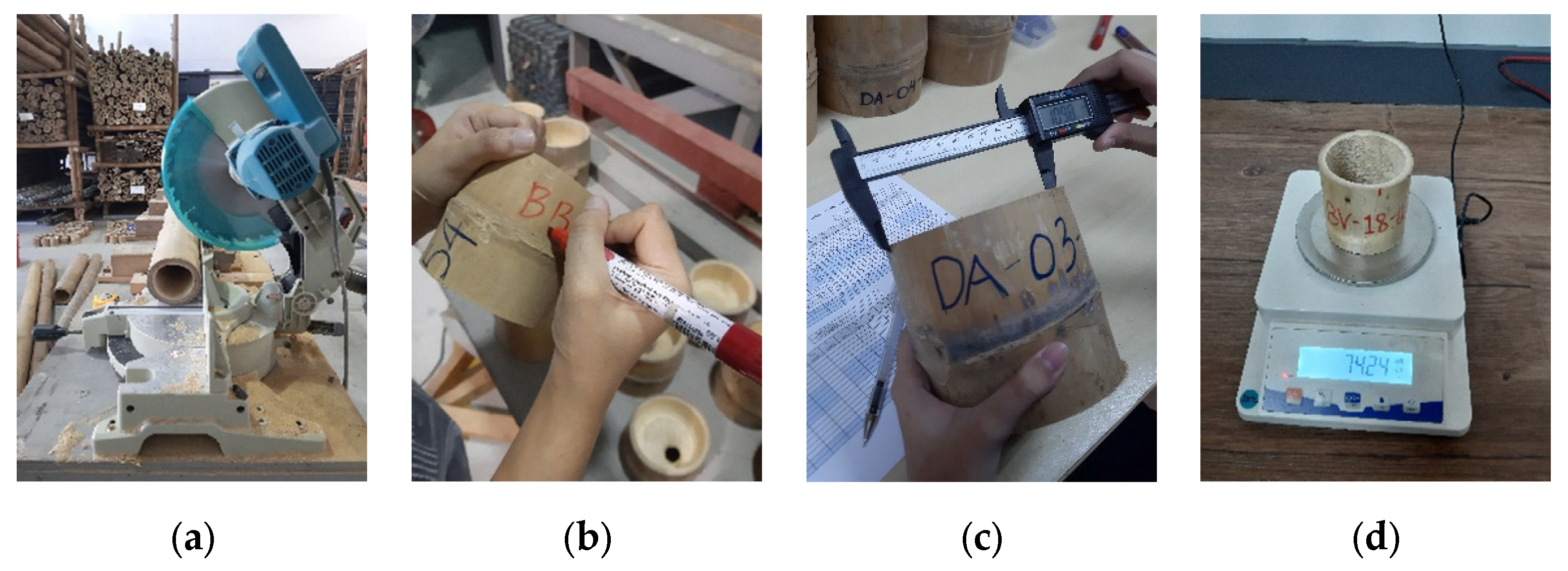 Sustainability 16 03845 g001