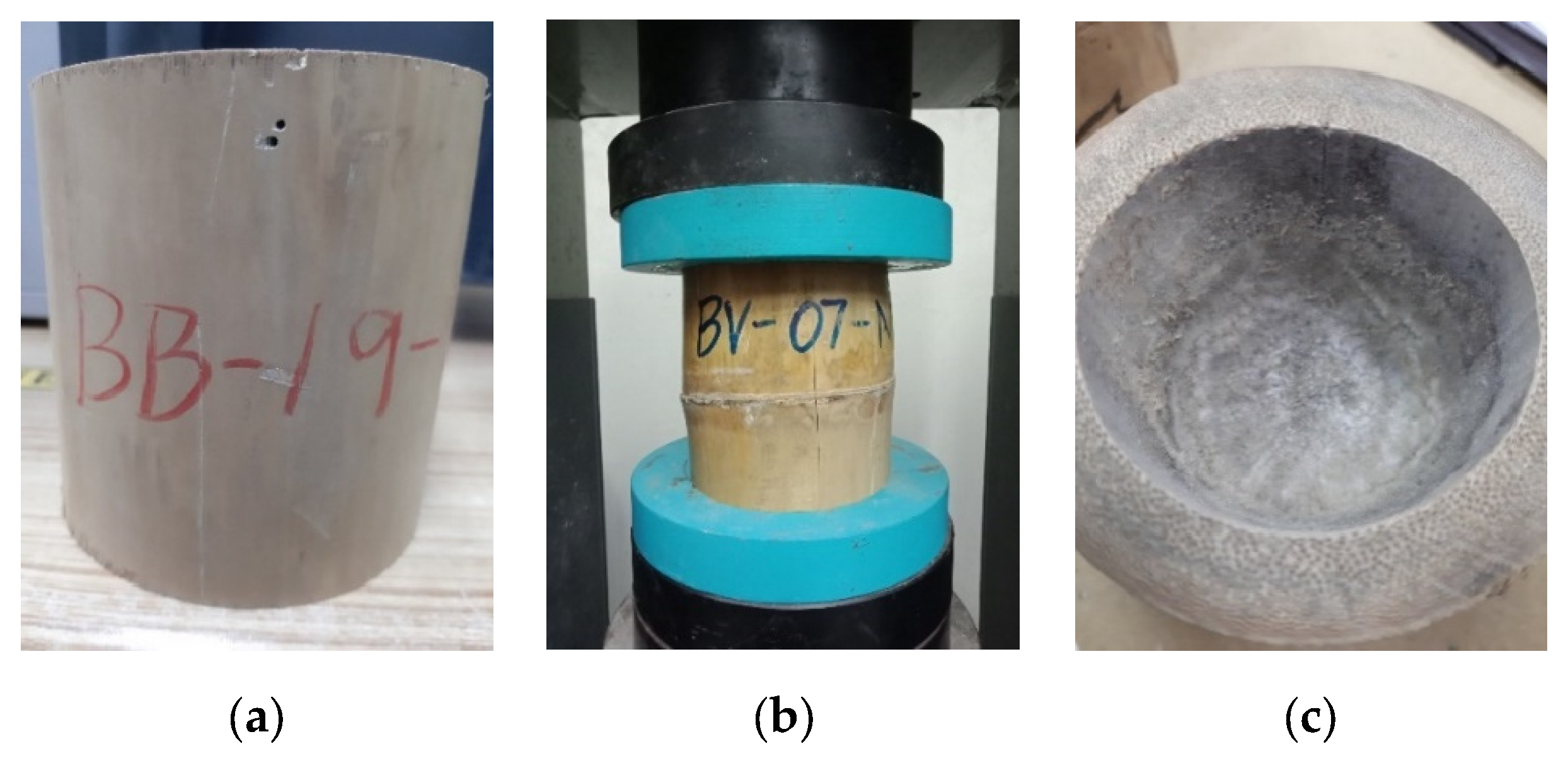 Sustainability 16 03845 g006