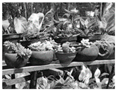 Sustainability 16 03849 i009