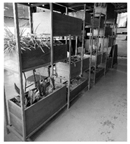 Sustainability 16 03849 i011