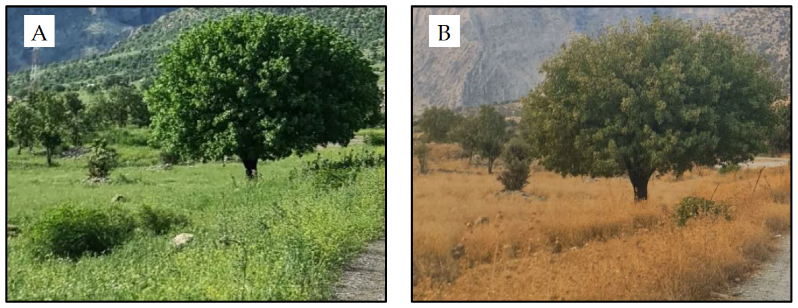 Sustainability 16 03900 g002