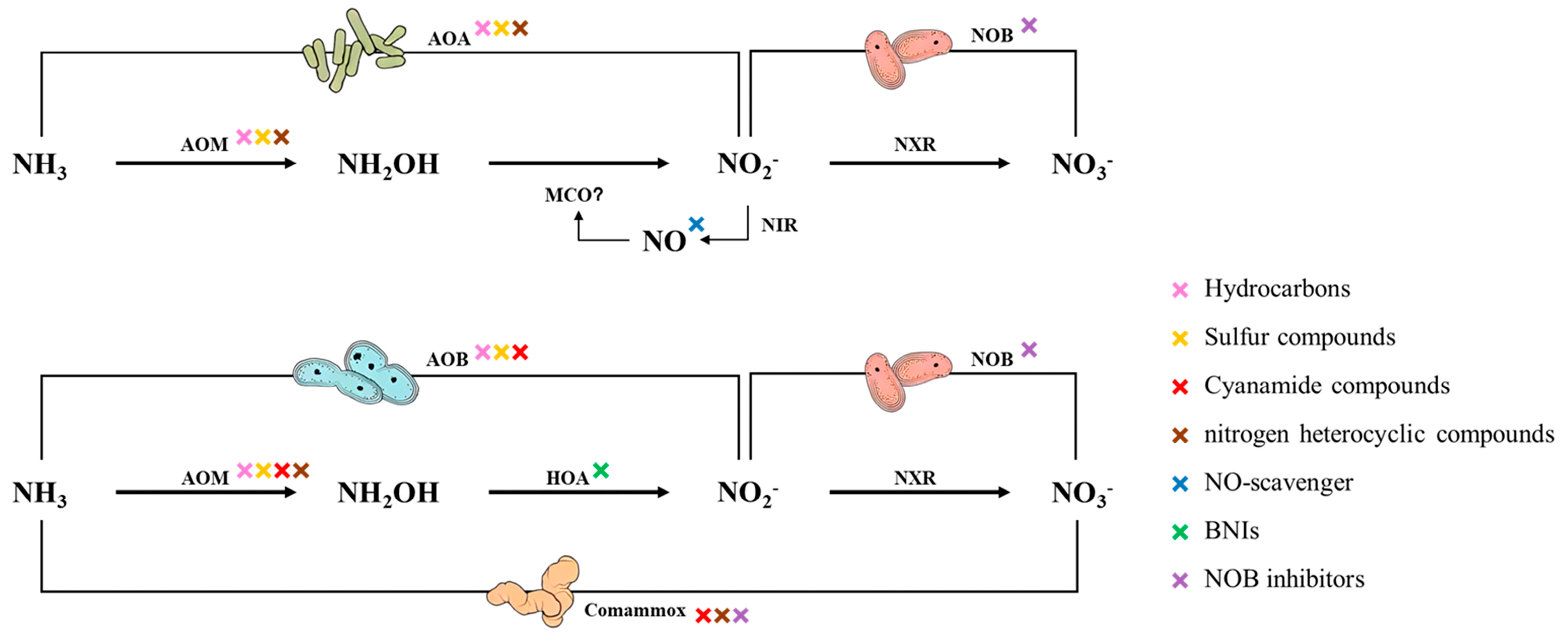 Sustainability 16 03906 g005