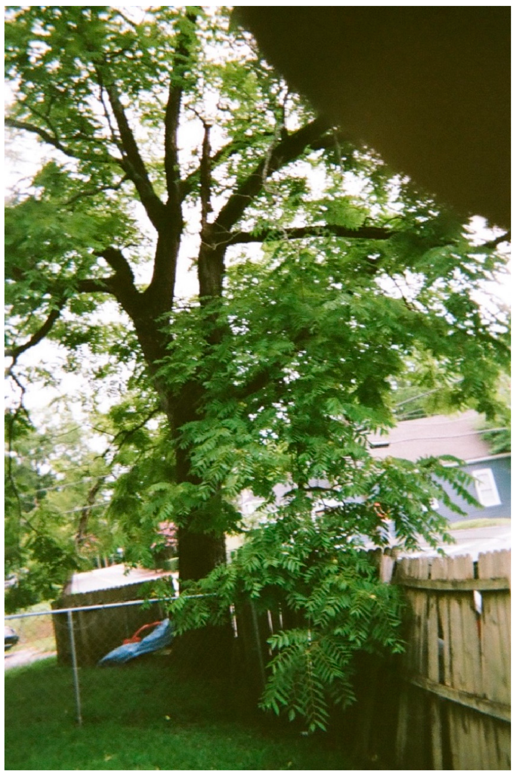 Sustainability 16 03913 g007