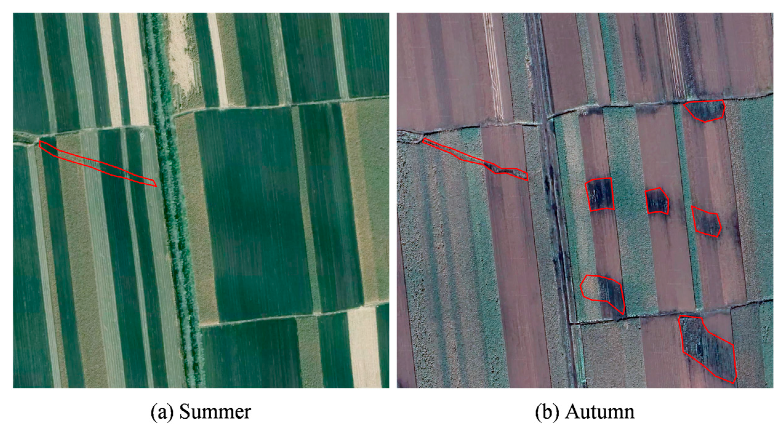 Sustainability 16 03917 g003