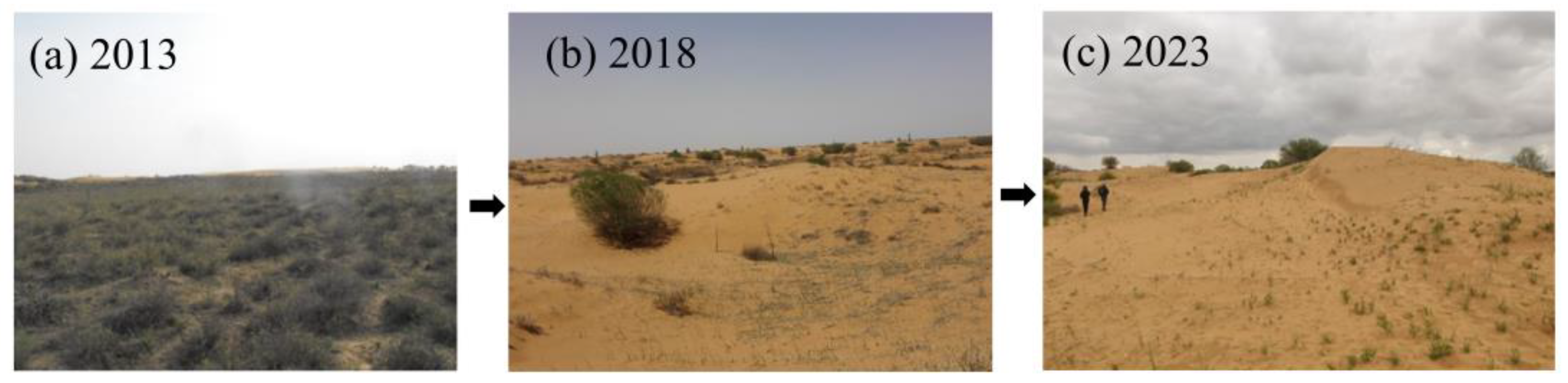 Sustainability 16 03940 g001