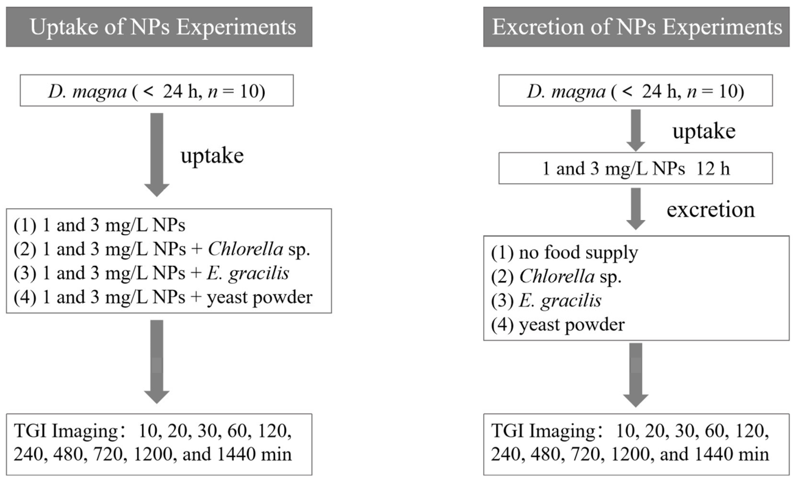 Sustainability 16 03941 g002