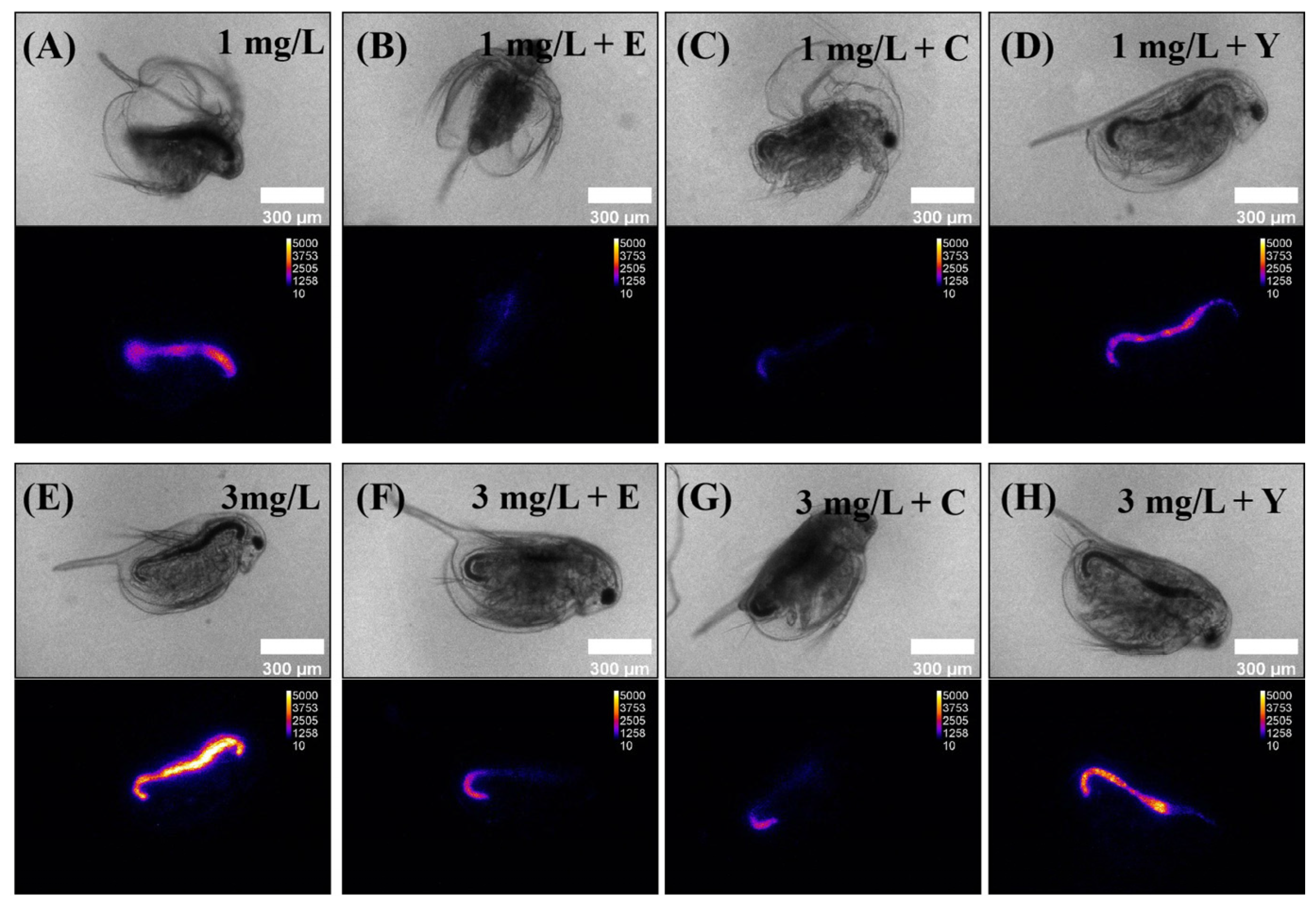 Sustainability 16 03941 g006