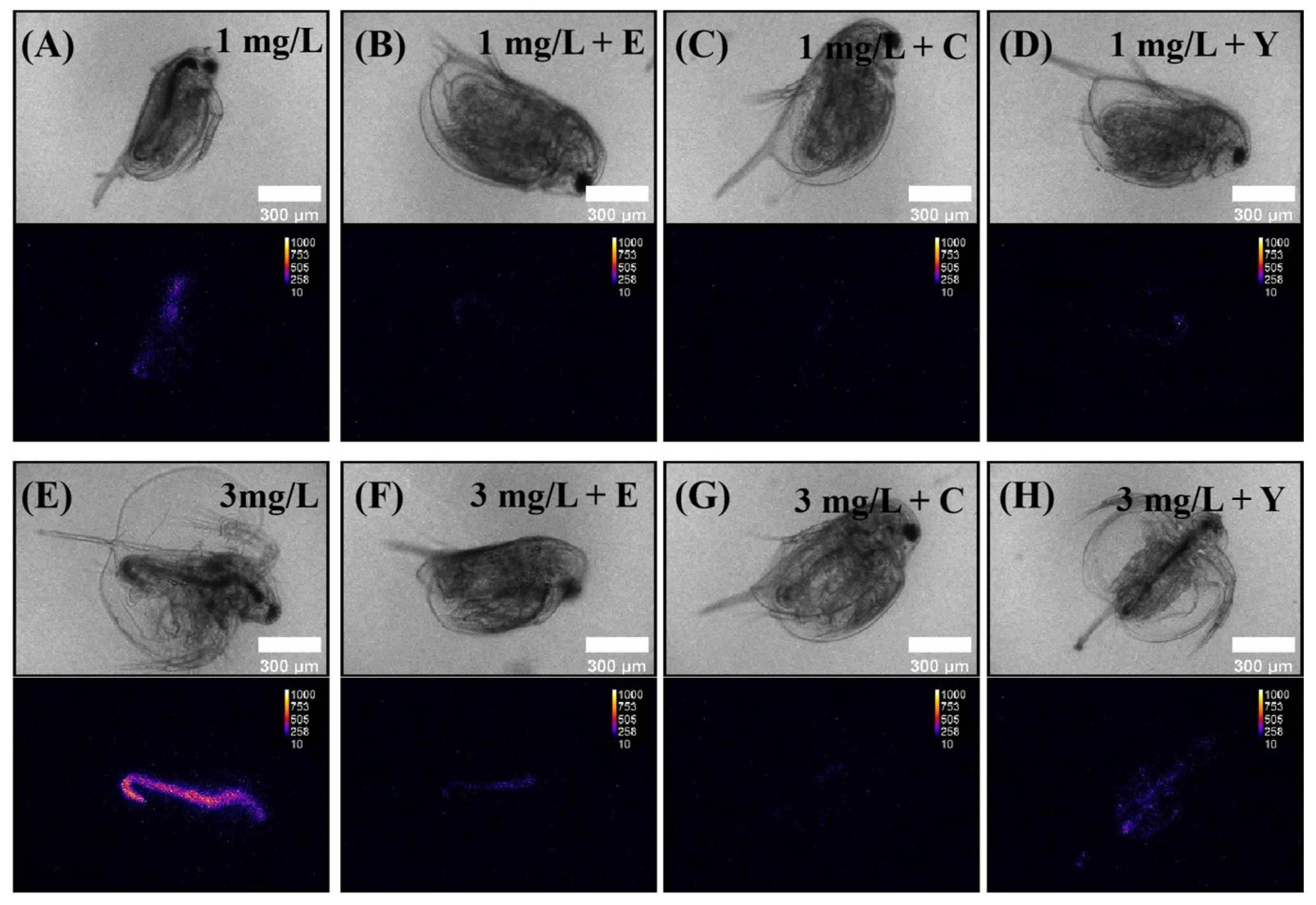 Sustainability 16 03941 g008