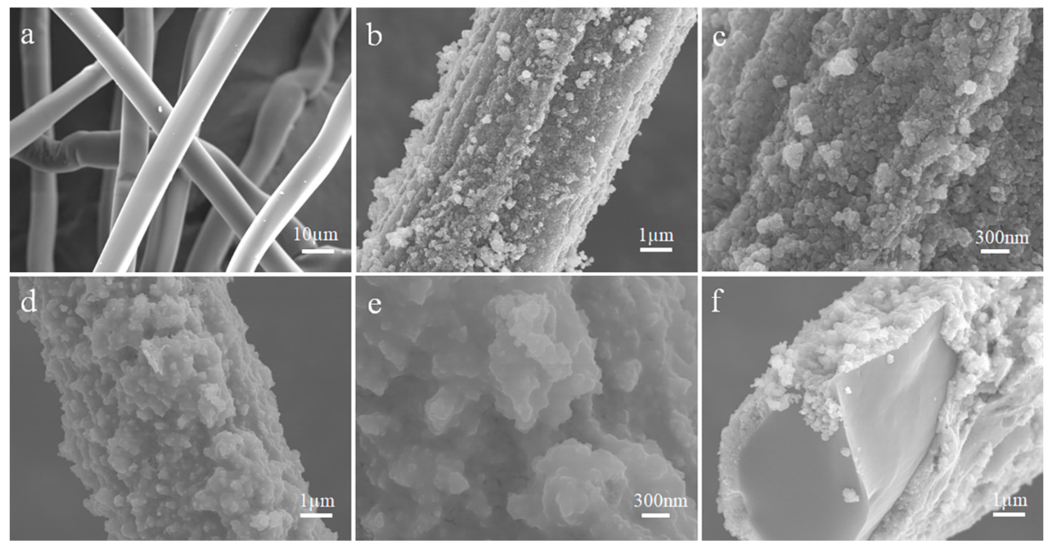 Sustainability 16 03988 g003