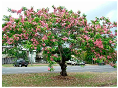 Sustainability 16 03995 i002