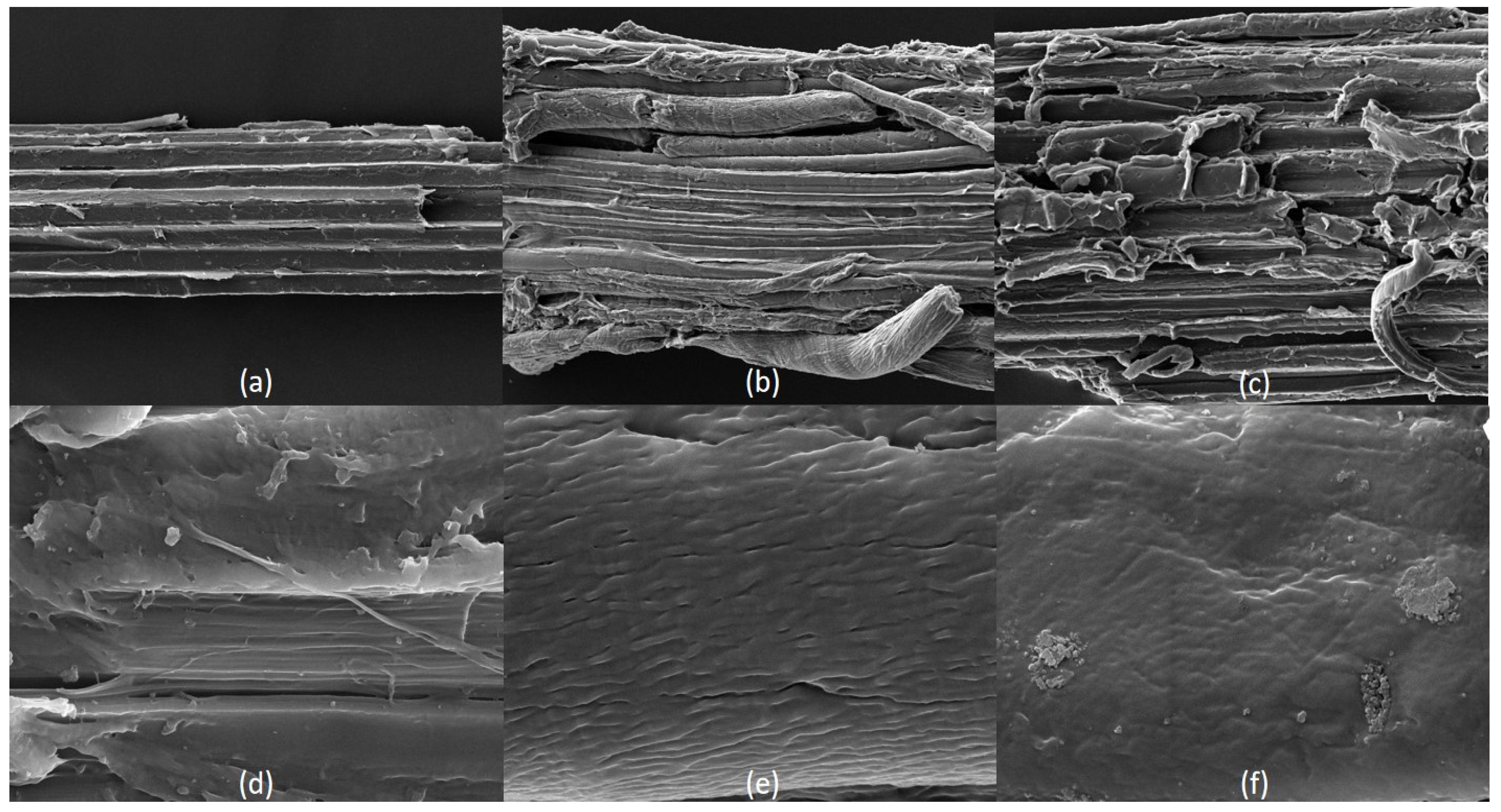 Sustainability 16 04001 g002