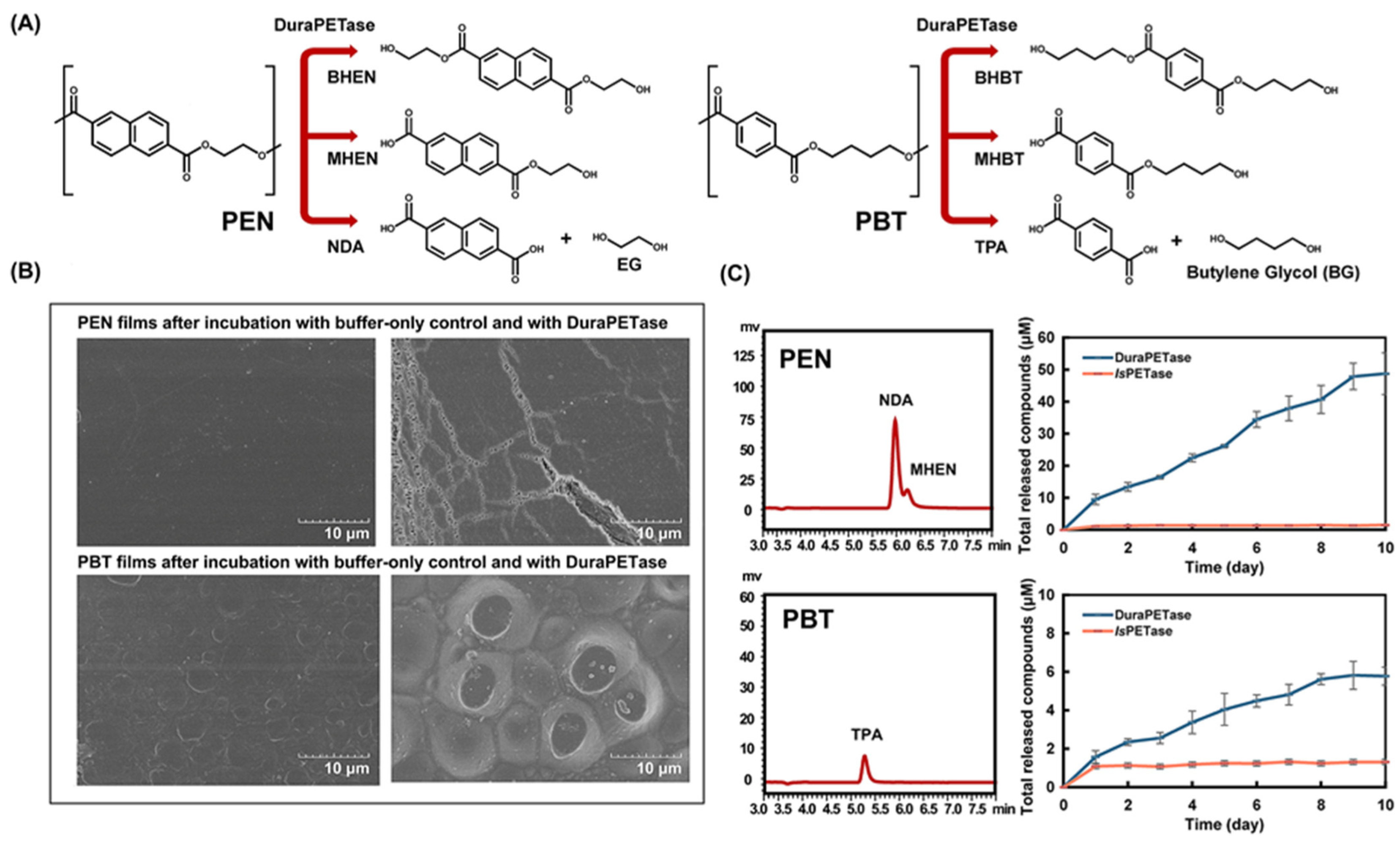 Sustainability 16 04033 g009