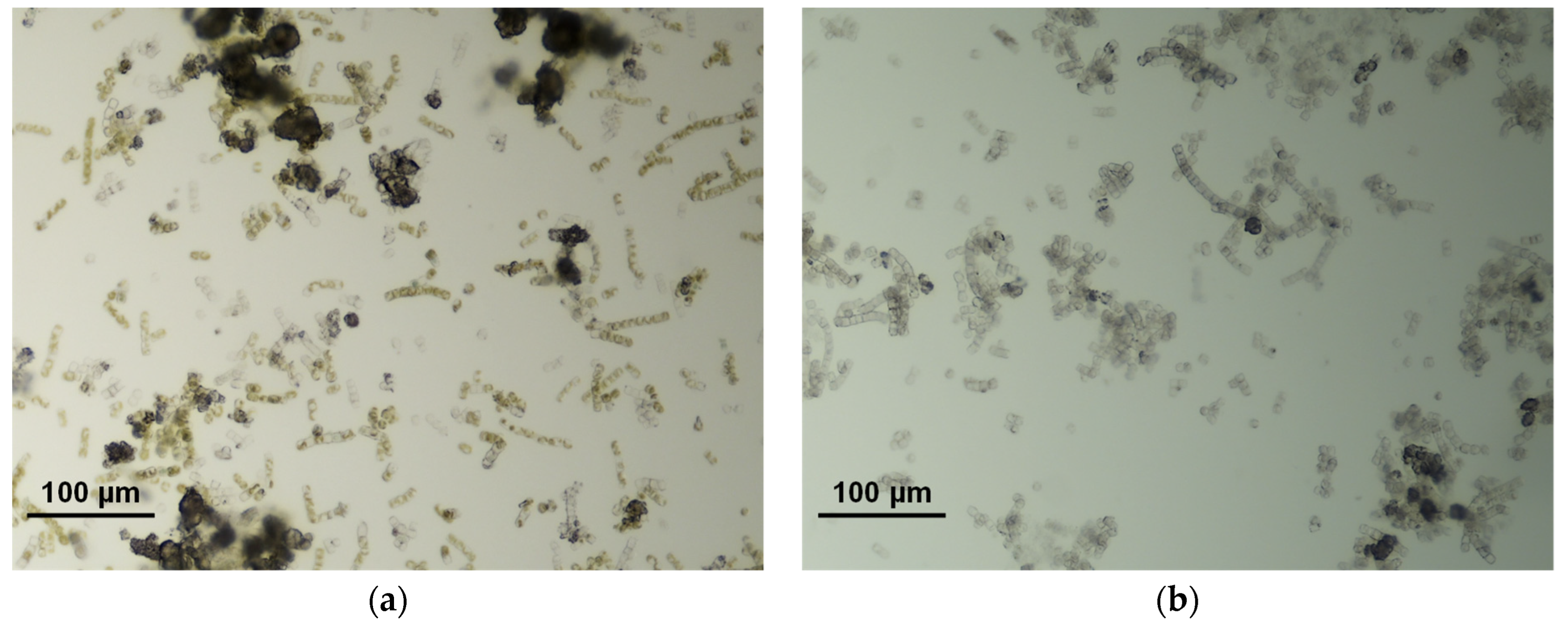 Sustainability 16 04052 g008