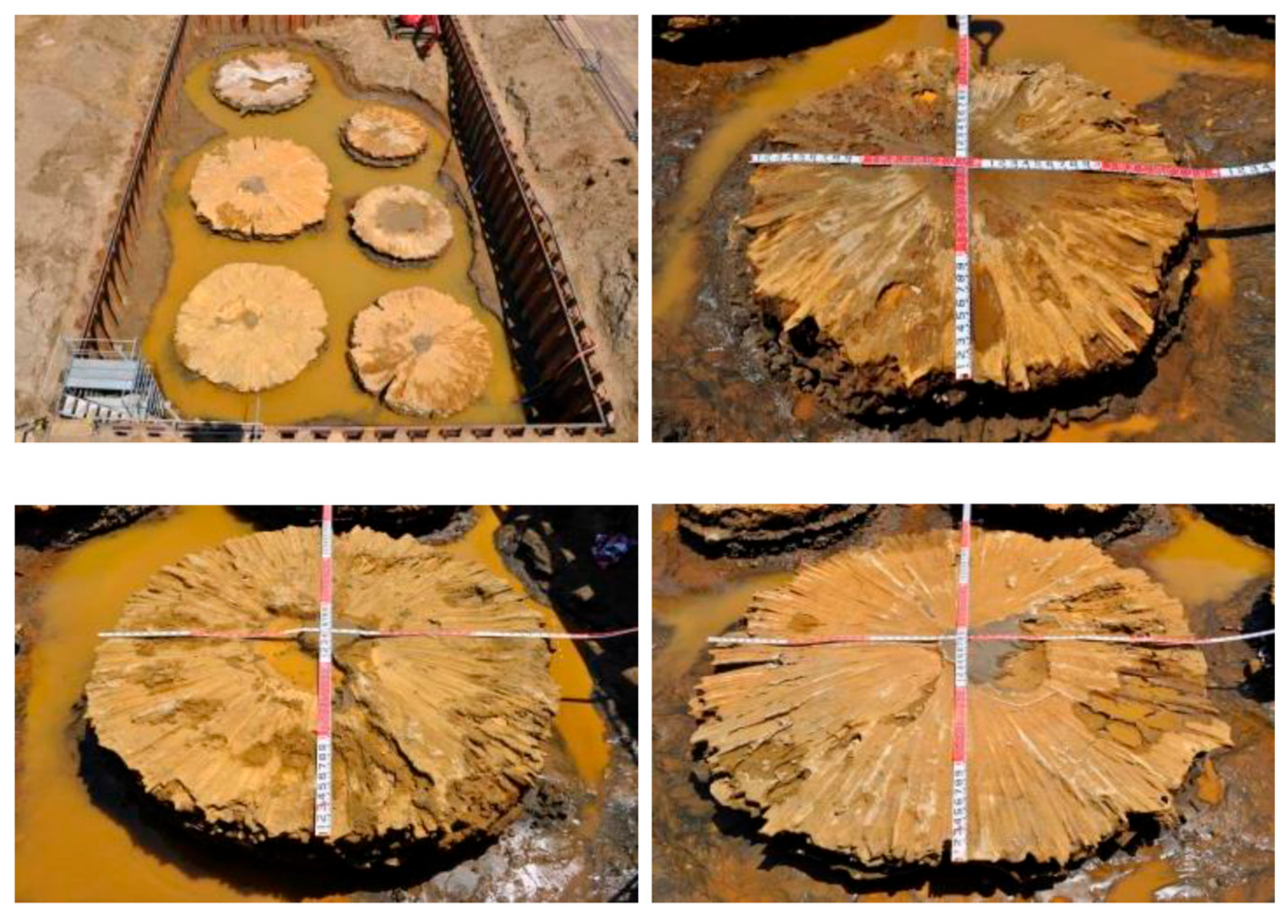 Sustainability 16 04113 g001