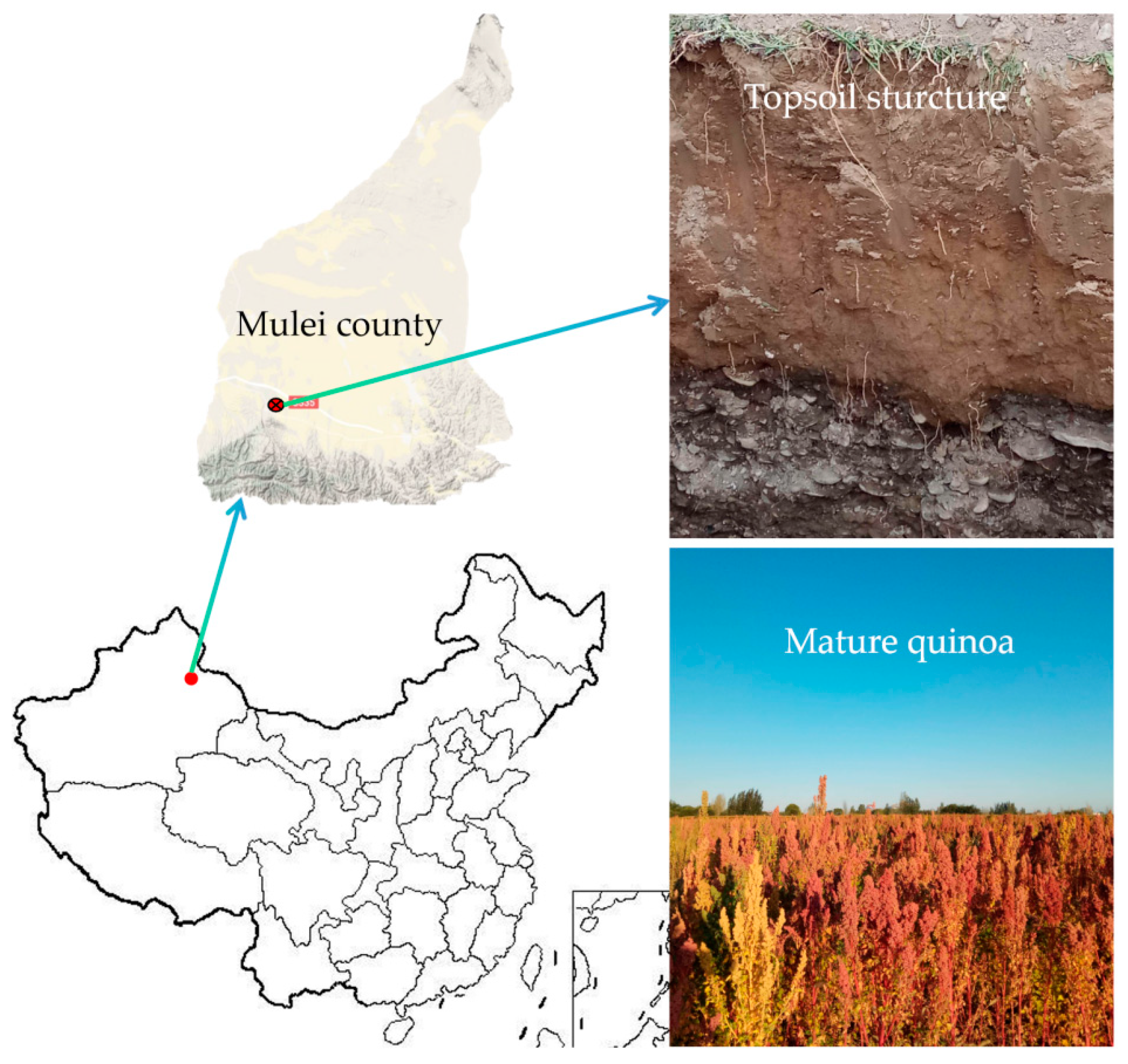 Sustainability 16 04136 g001