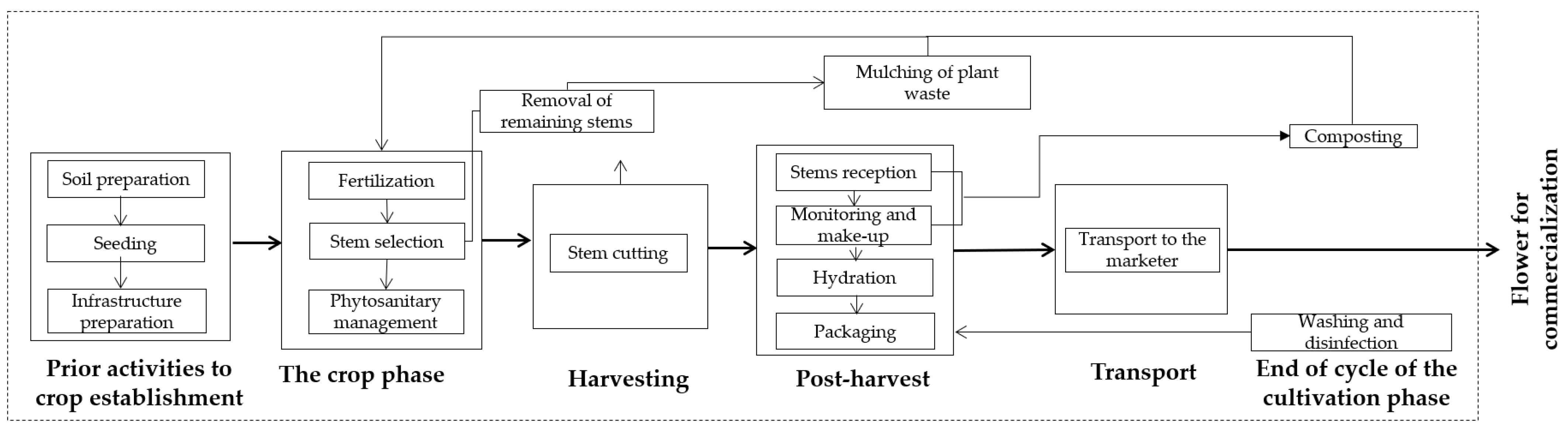 Sustainability 16 04156 g001