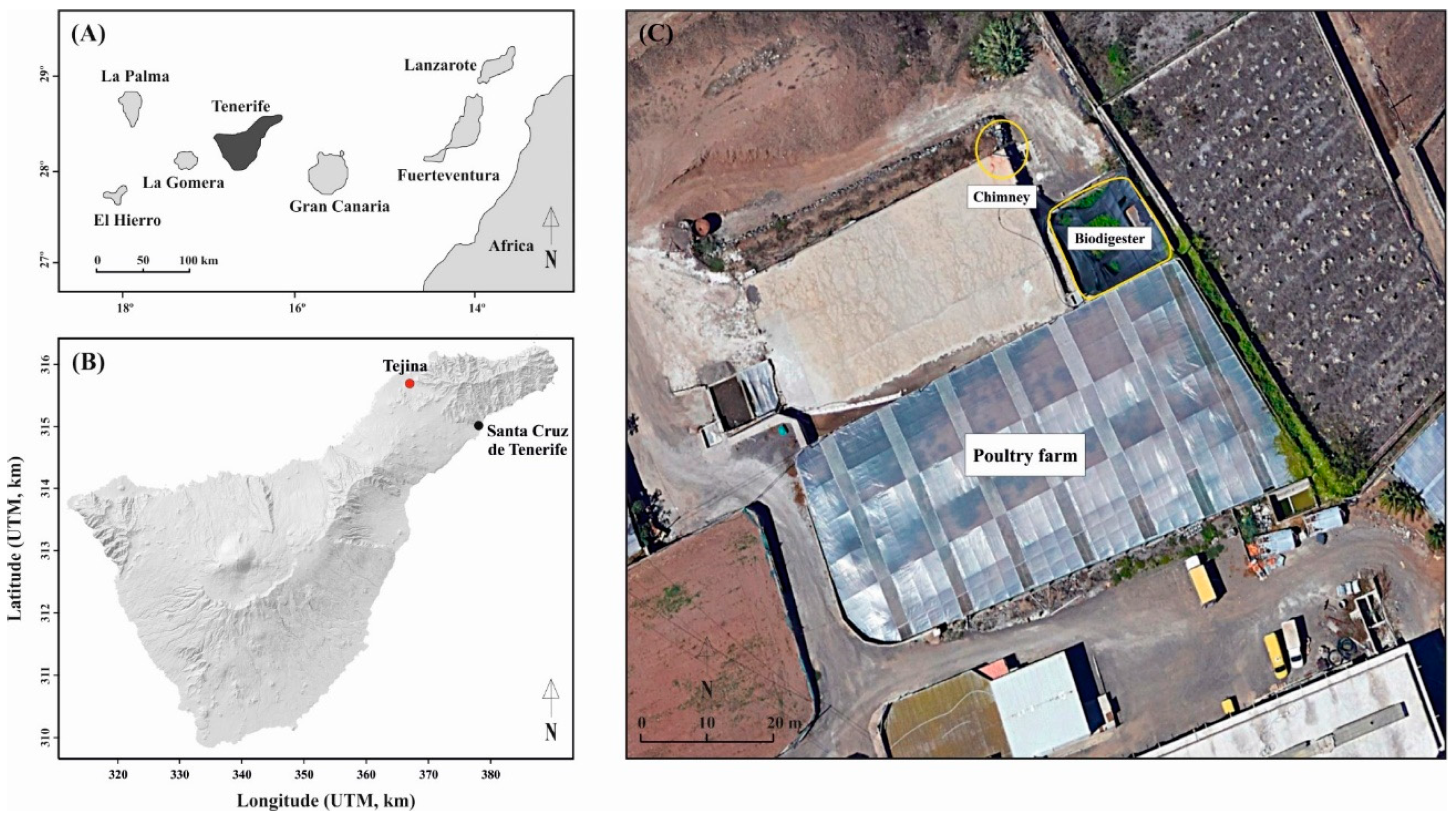 Sustainability 16 04168 g001