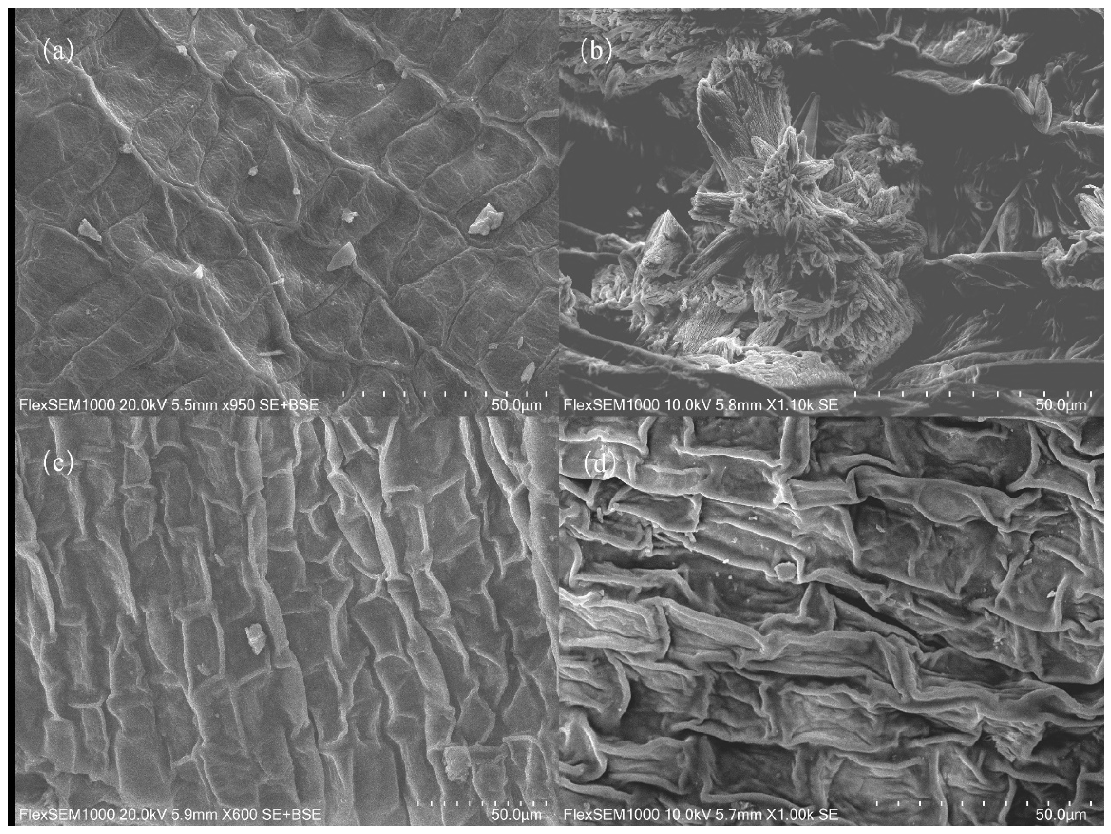 Sustainability 16 04200 g005