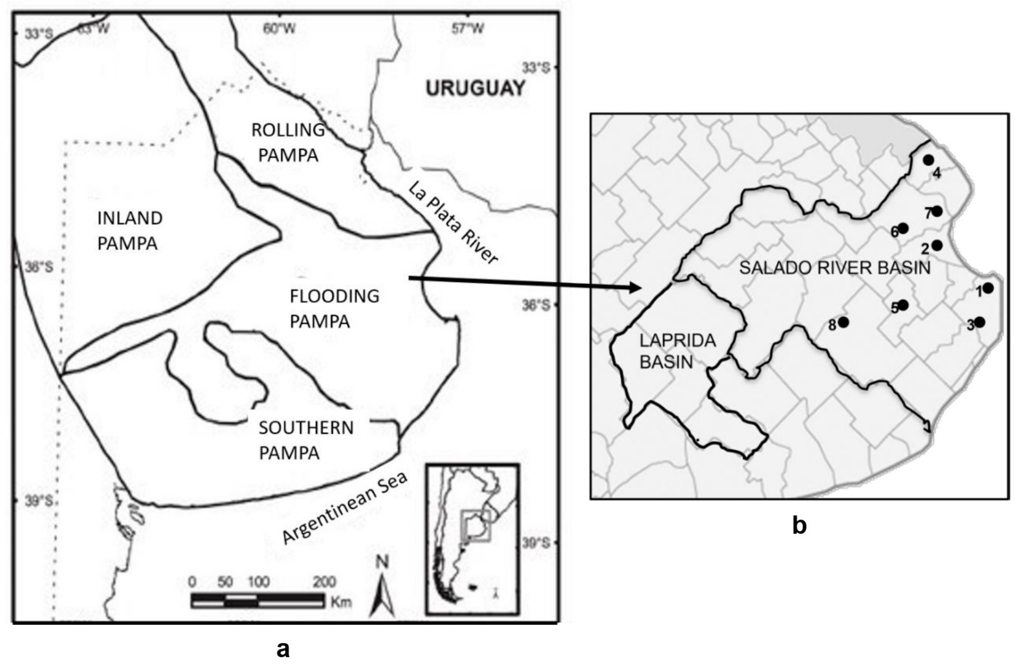Sustainability 16 04229 g001