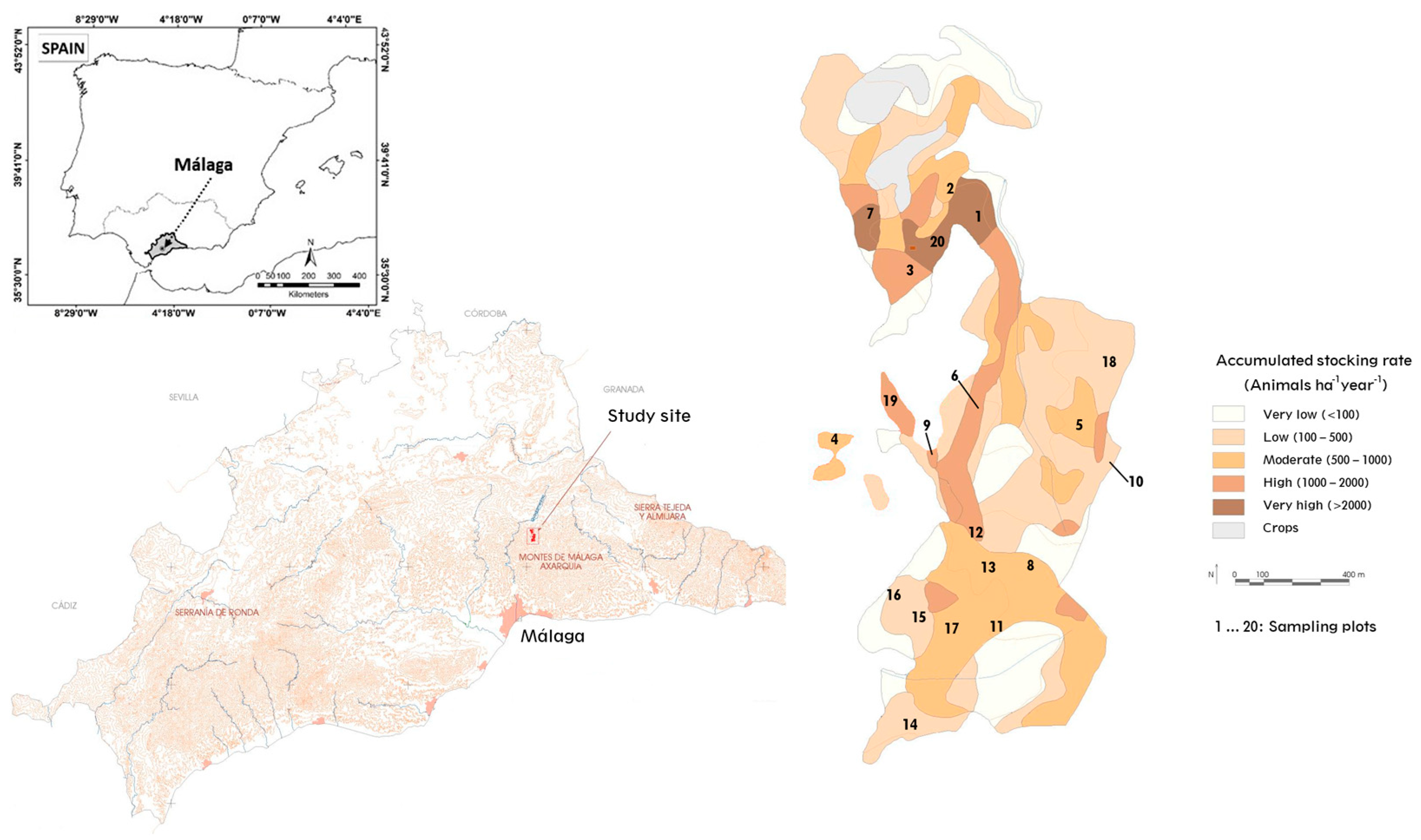 Sustainability 16 04279 g001