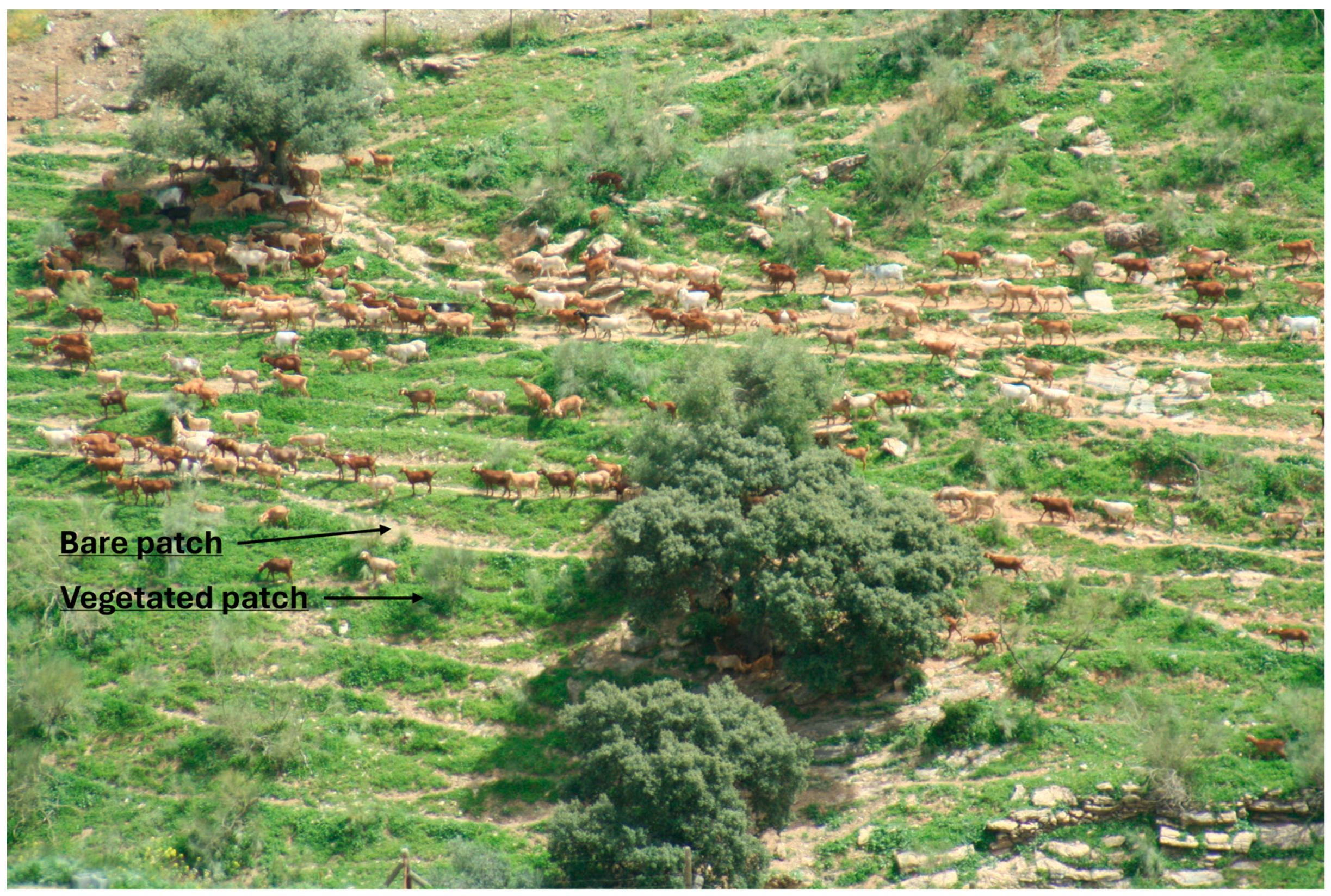 Sustainability 16 04279 g002