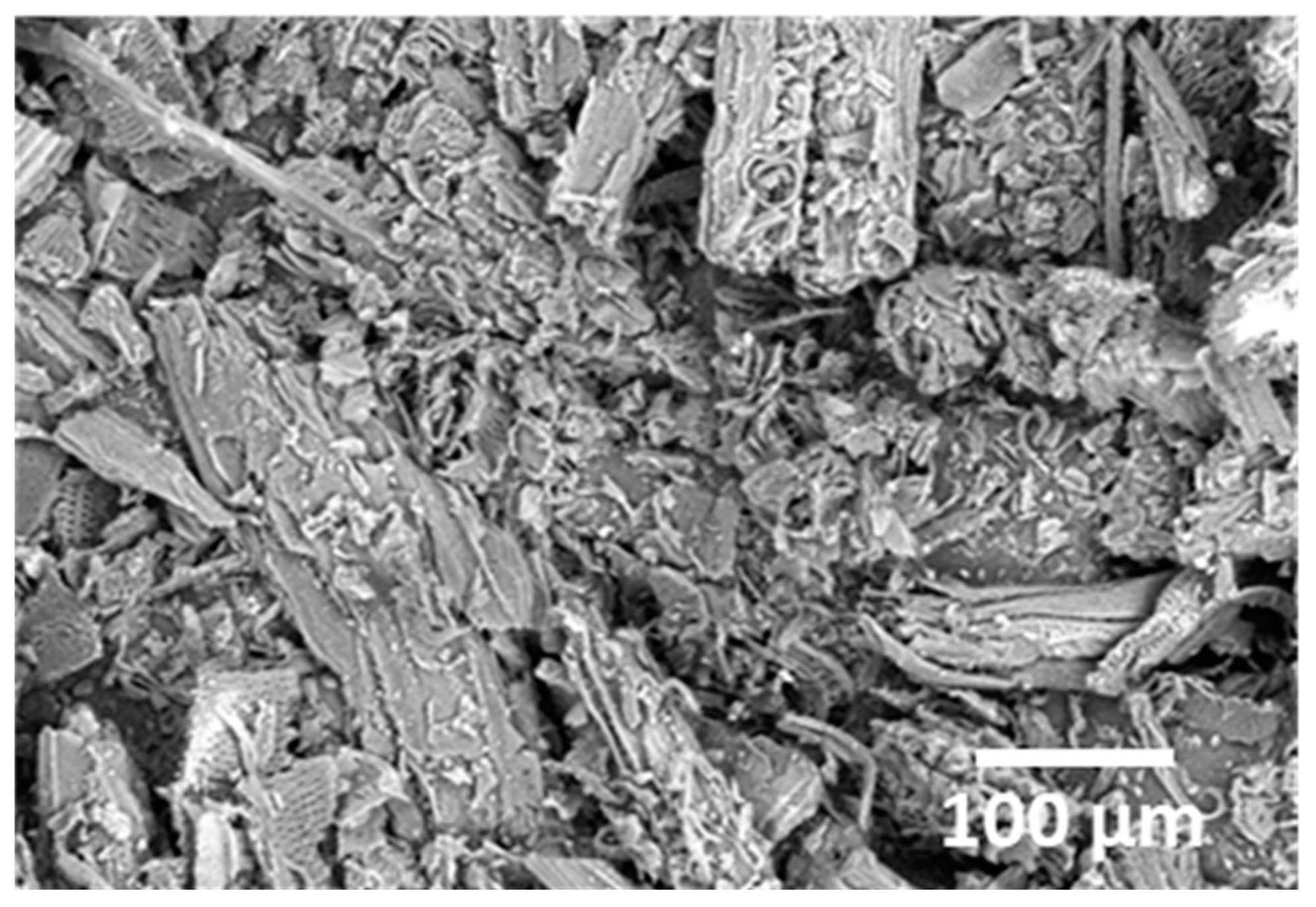 Sustainability 16 04291 g007