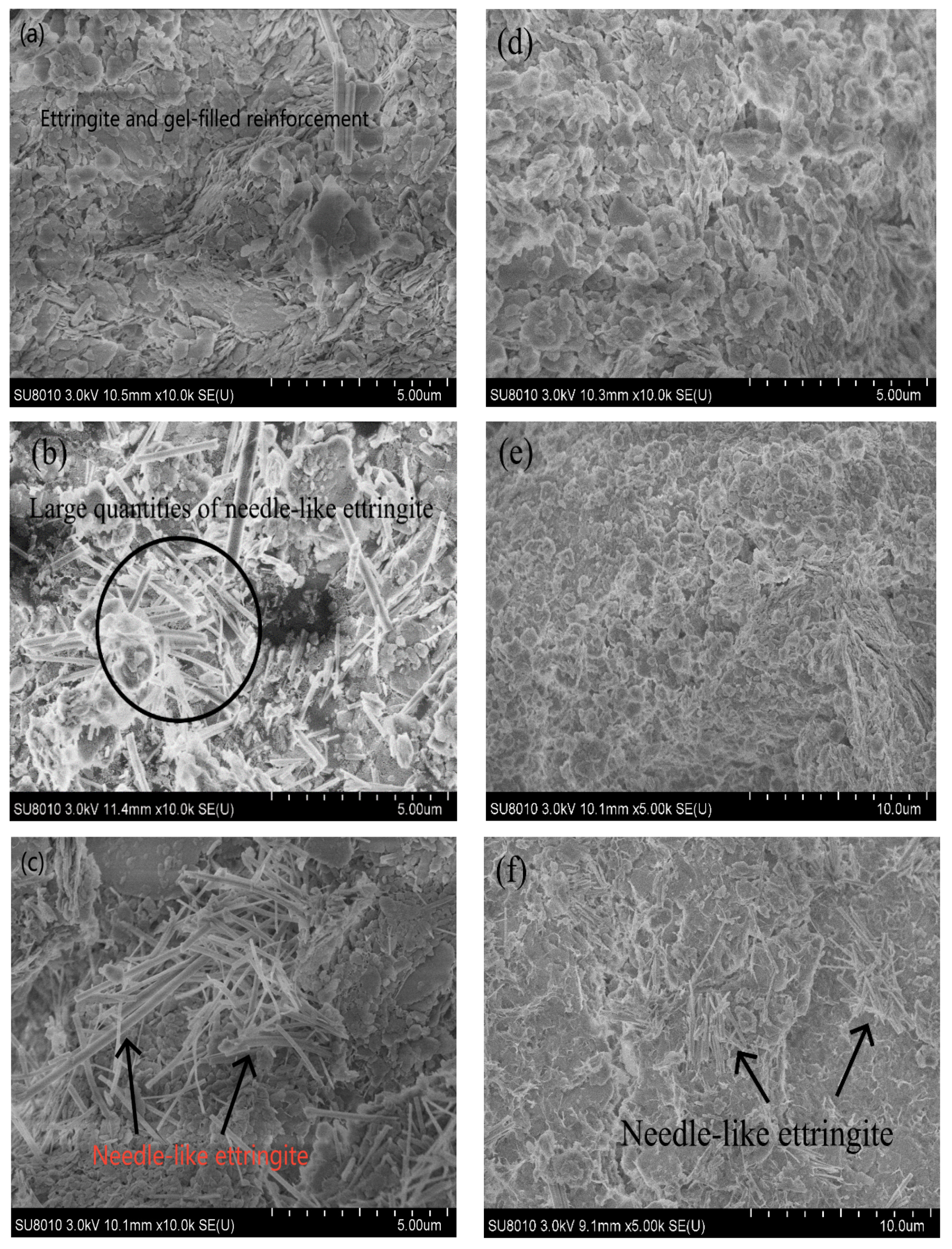 Sustainability 16 04313 g016