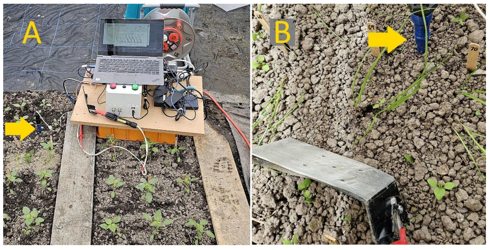 Sustainability 16 04324 g001 Sustainability 16 04324 g001