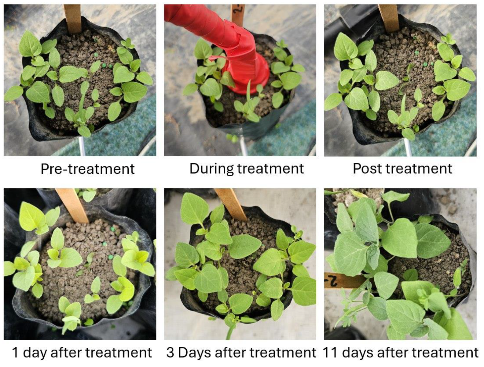 Sustainability 16 04324 g014 Sustainability 16 04324 g014