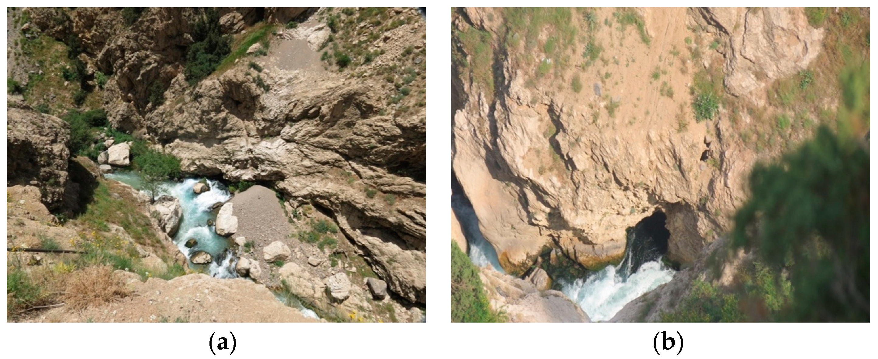 Sustainability 16 04335 g004