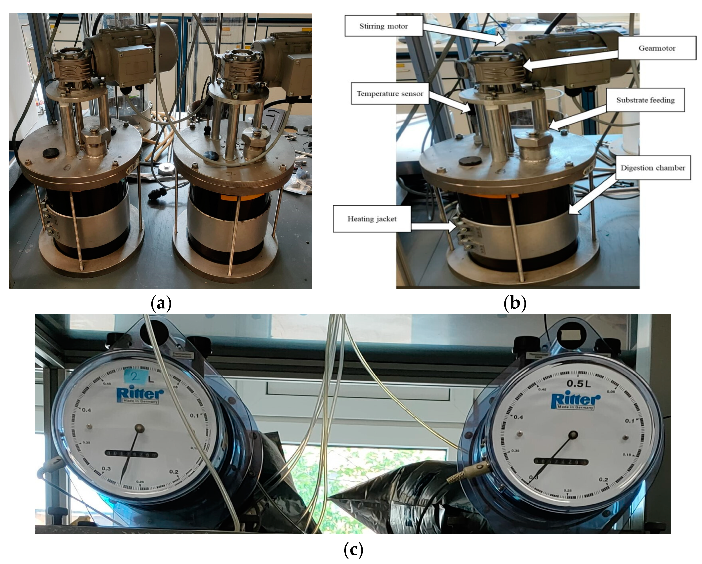 Sustainability 16 04346 g001