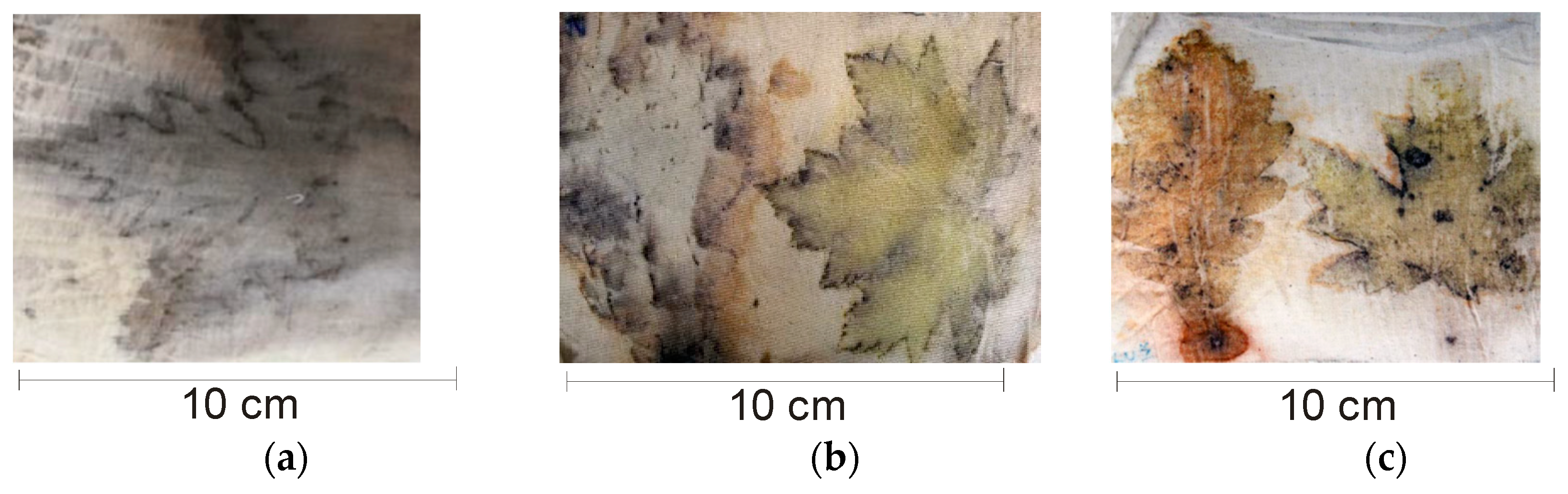 Sustainability 16 04361 g002