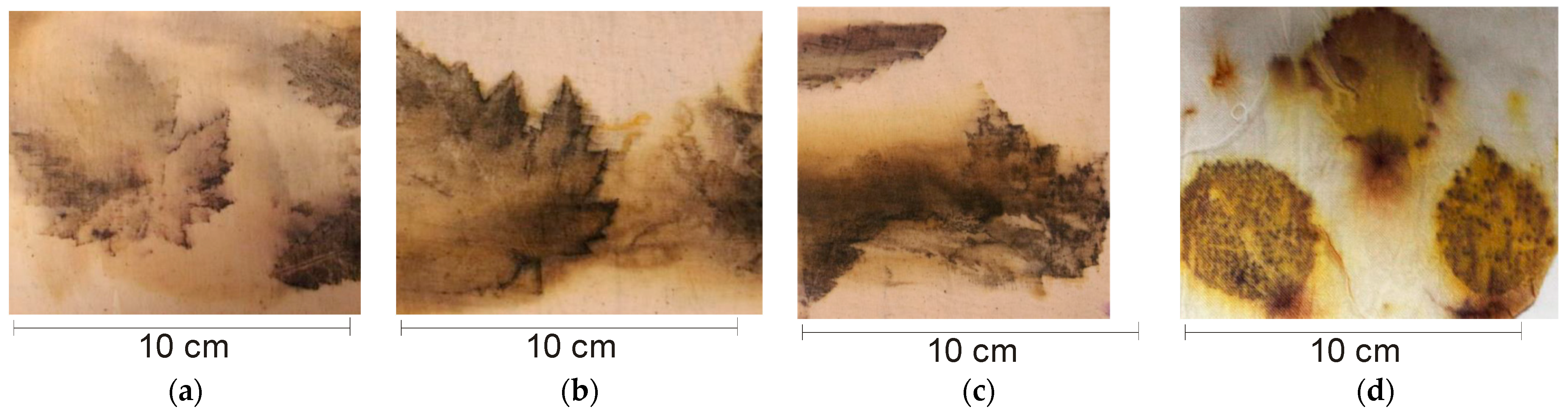 Sustainability 16 04361 g004