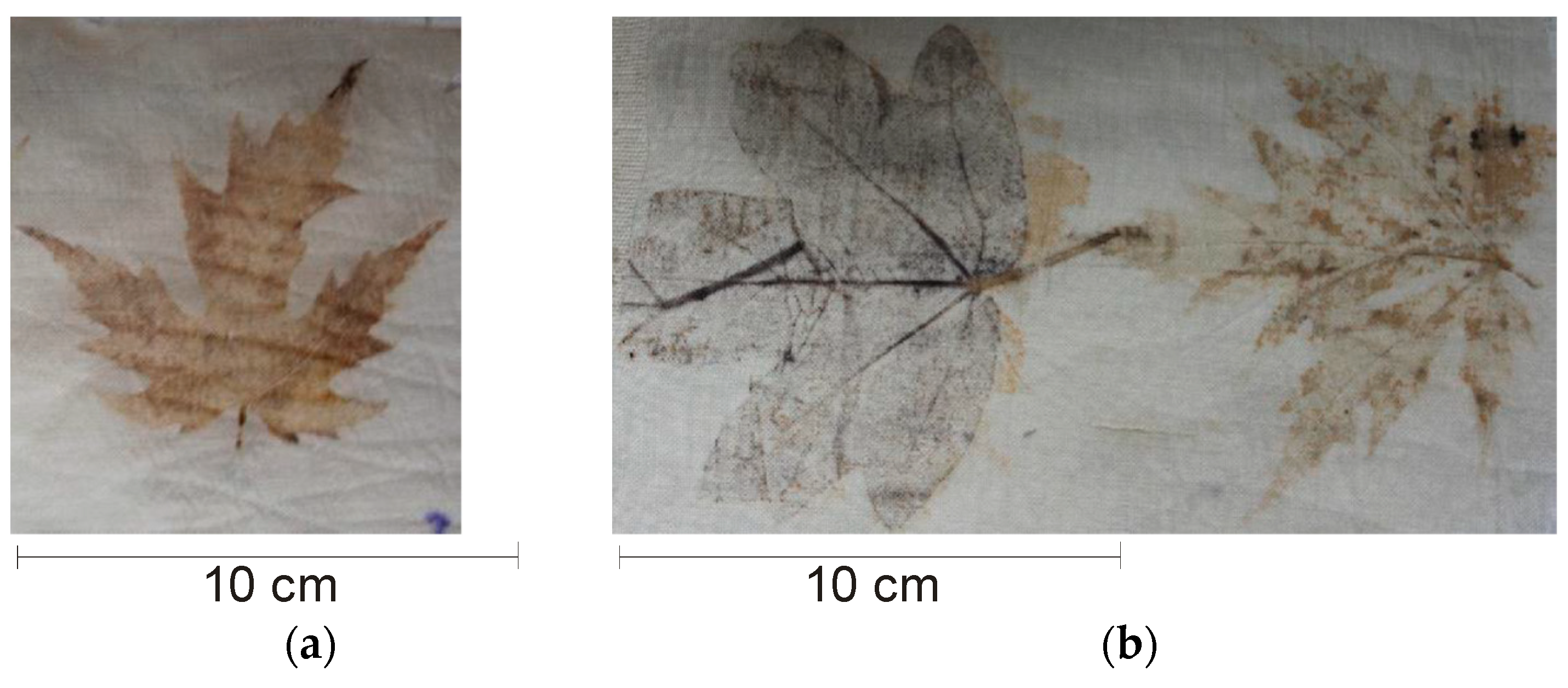 Sustainability 16 04361 g005