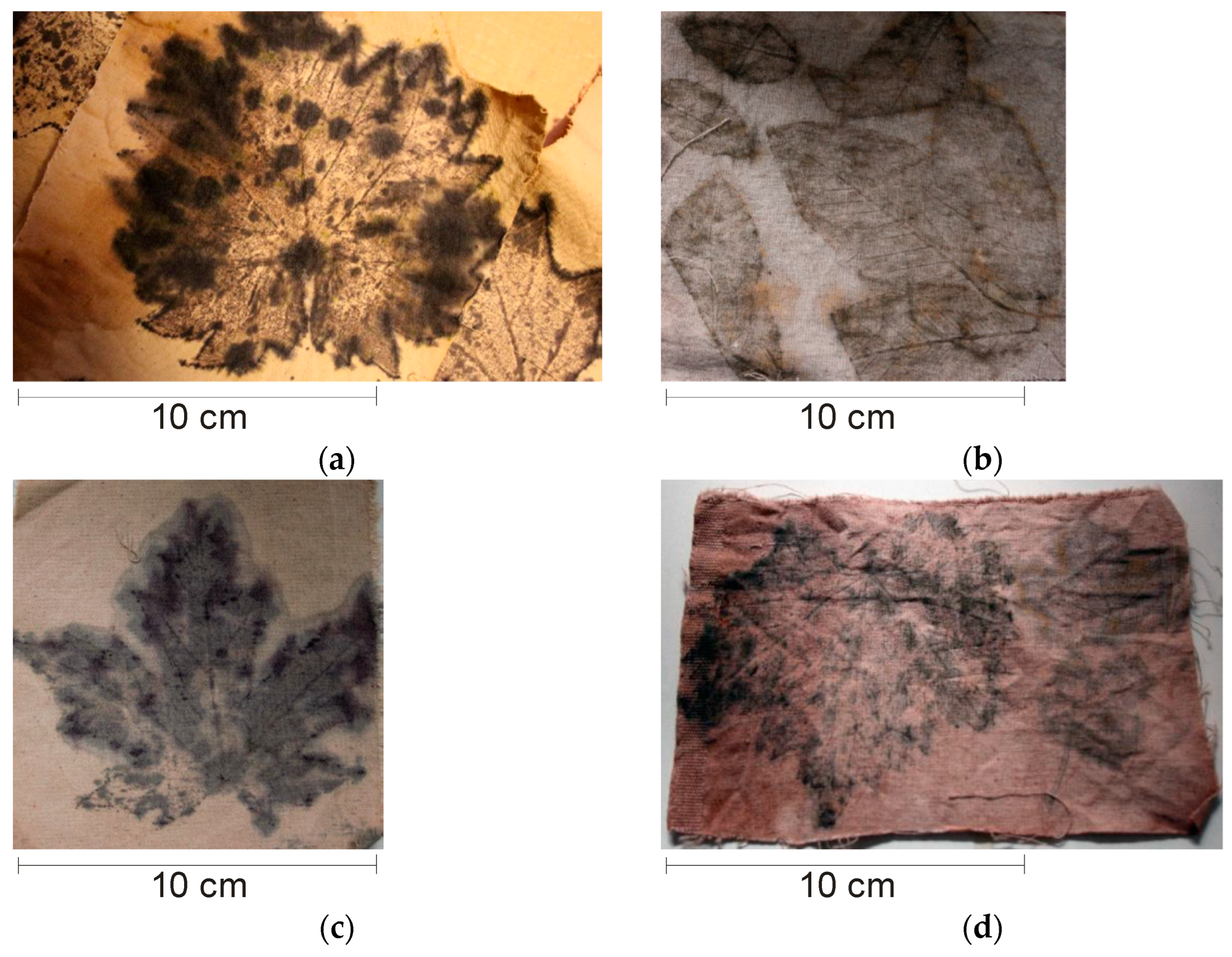 Sustainability 16 04361 g006