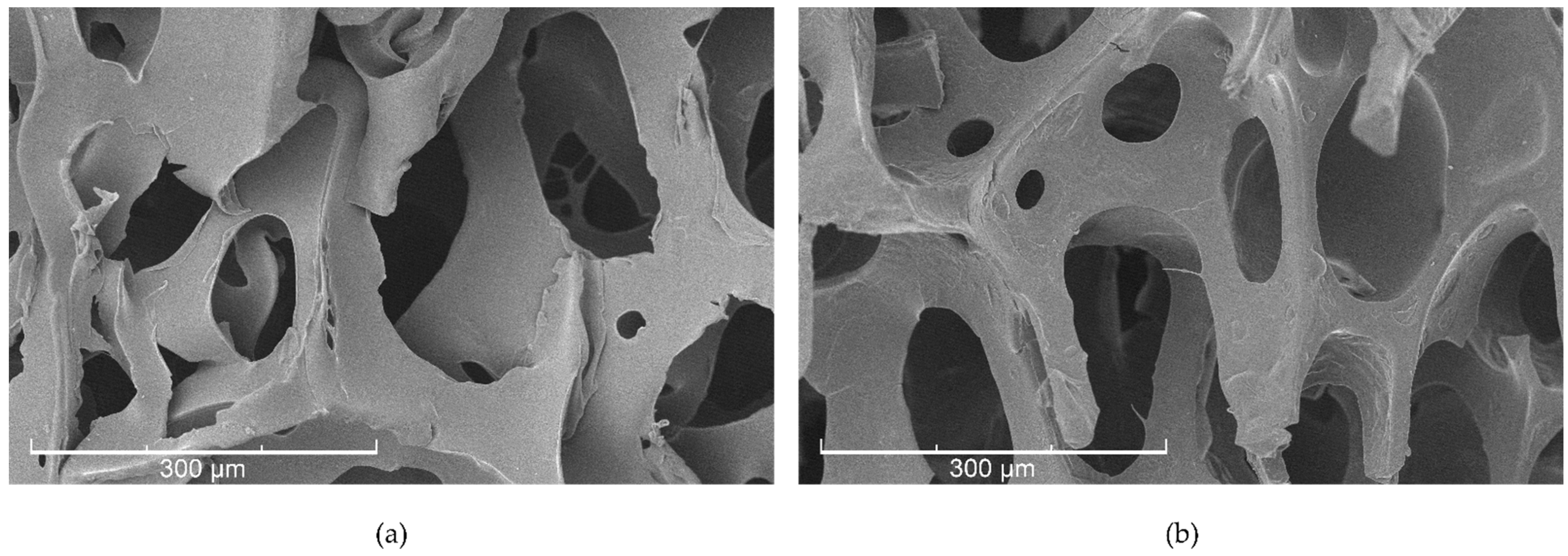 Sustainability 16 04375 g005