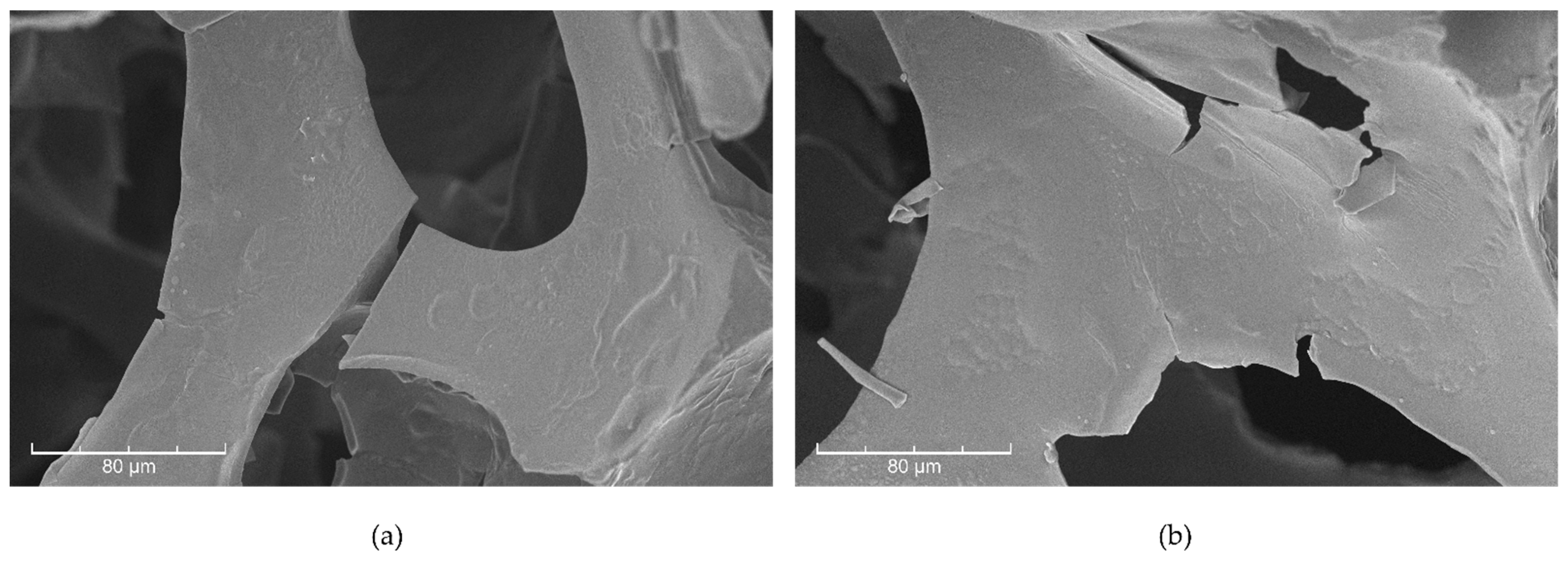 Sustainability 16 04375 g007