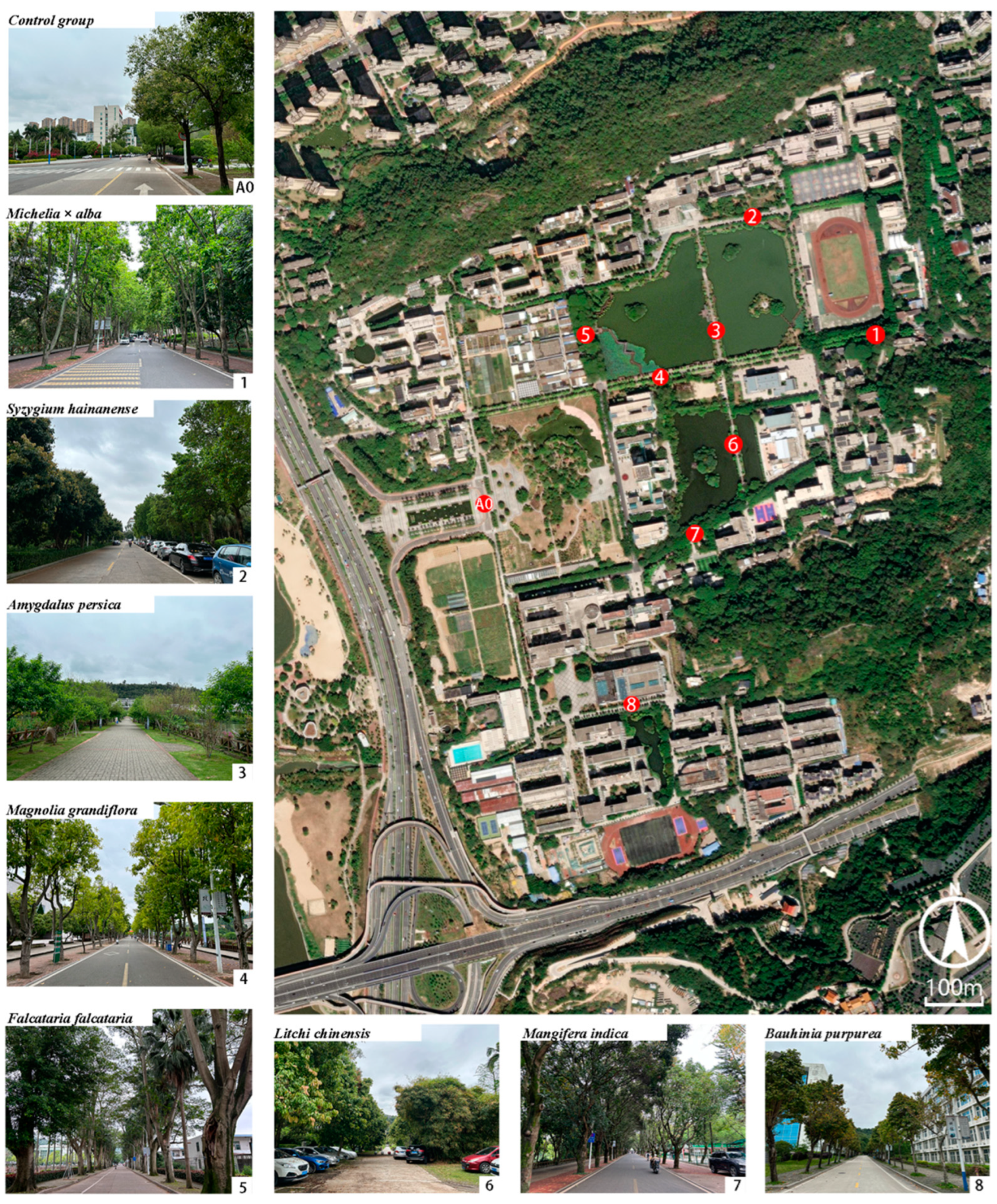 Sustainability 16 04407 g002