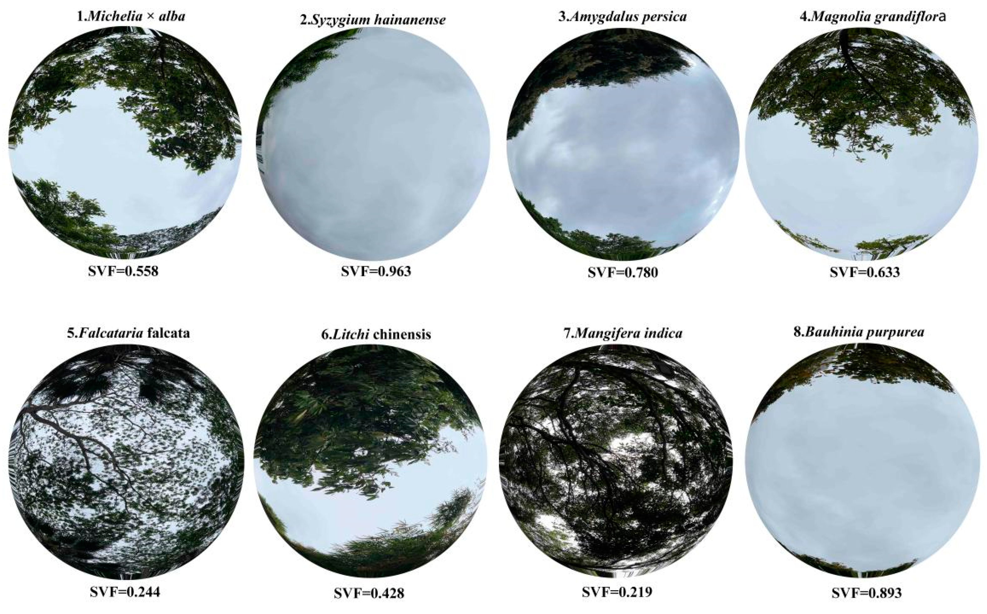 Sustainability 16 04407 g003
